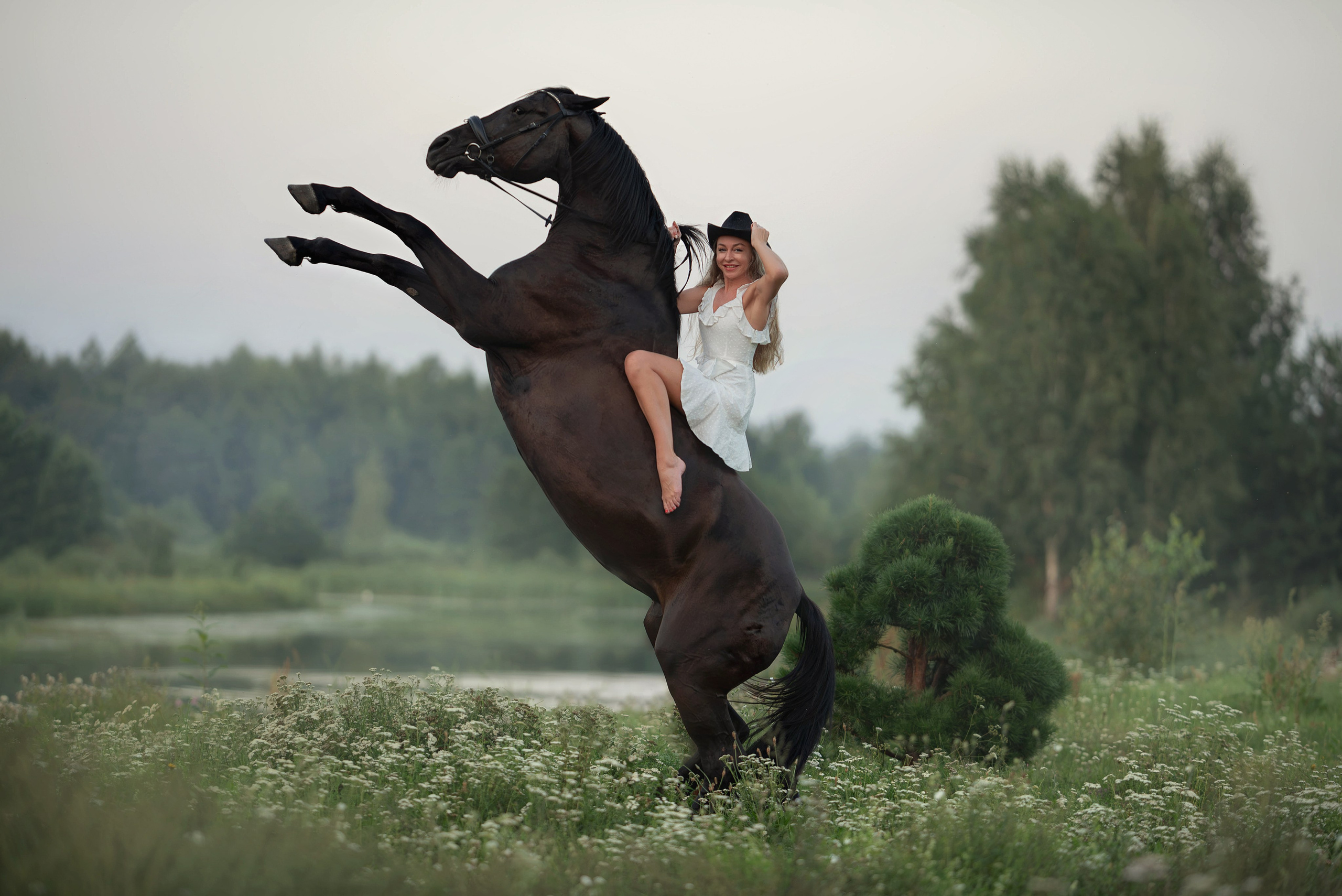 Съемки с лошадьми. Фотограф Вероника Ранцева, фотосессии с лошадьми в Минске и Могилеве
