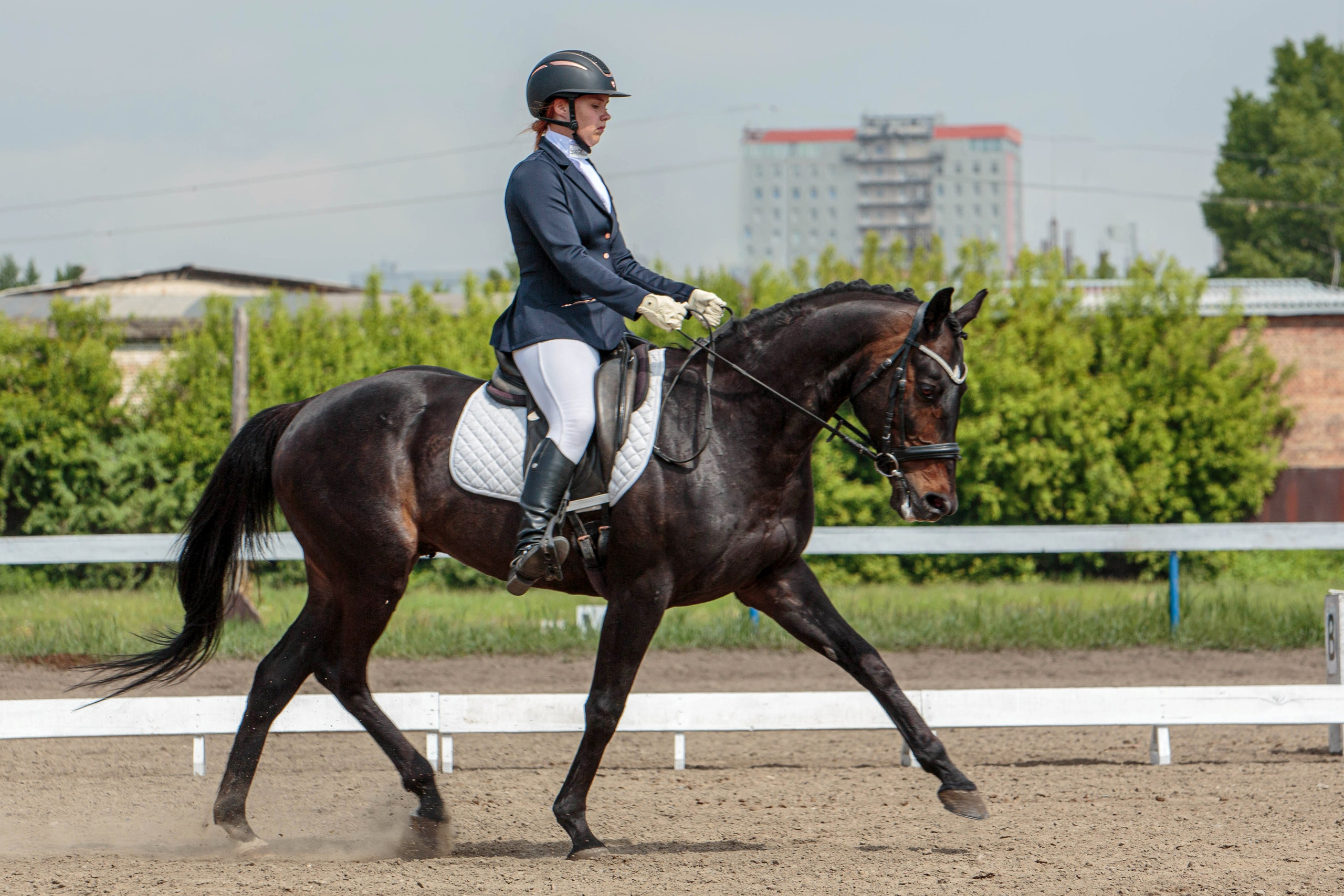 2024. Конный фотограф в Красноярске — Любовь Похабова