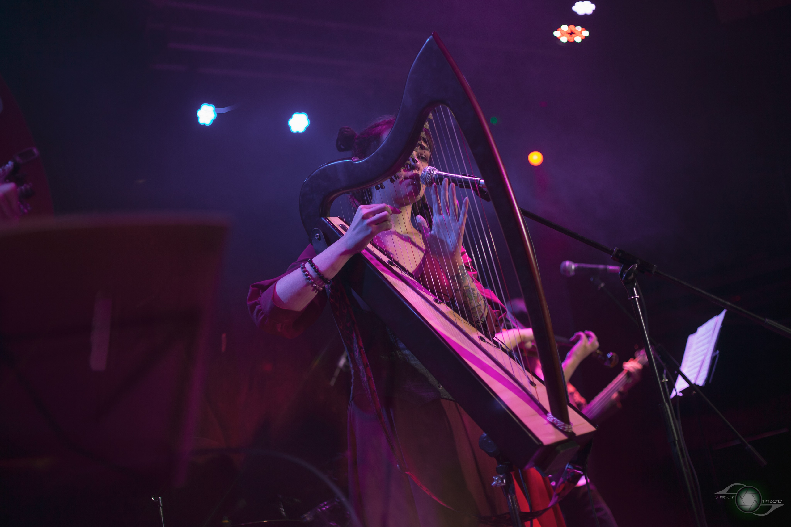 Фолк-вечер в «MEZZO FORTE». Фотограф Ellairen