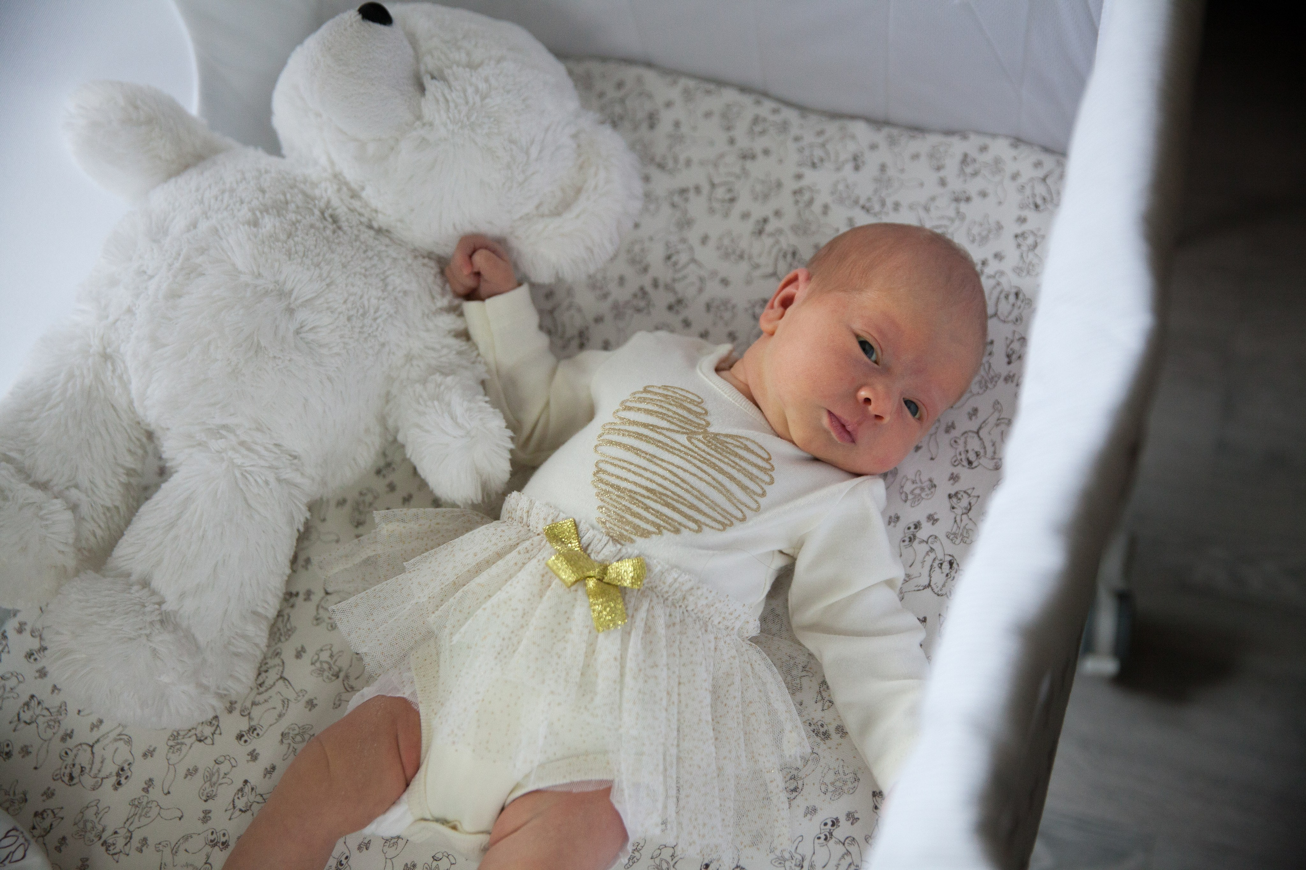 Новорожденные. Фотограф в Москве Наталья Антипина