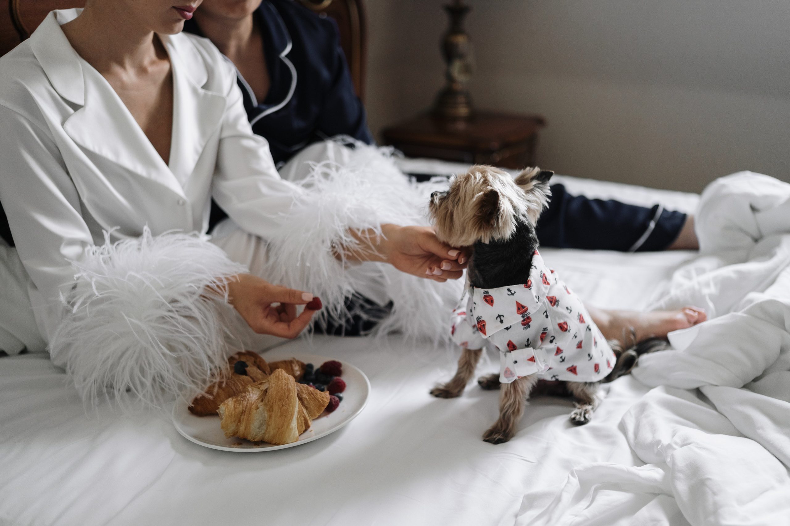 Вероника Александр. Свадебный и портретный фотограф Алена Седининна в Крыму