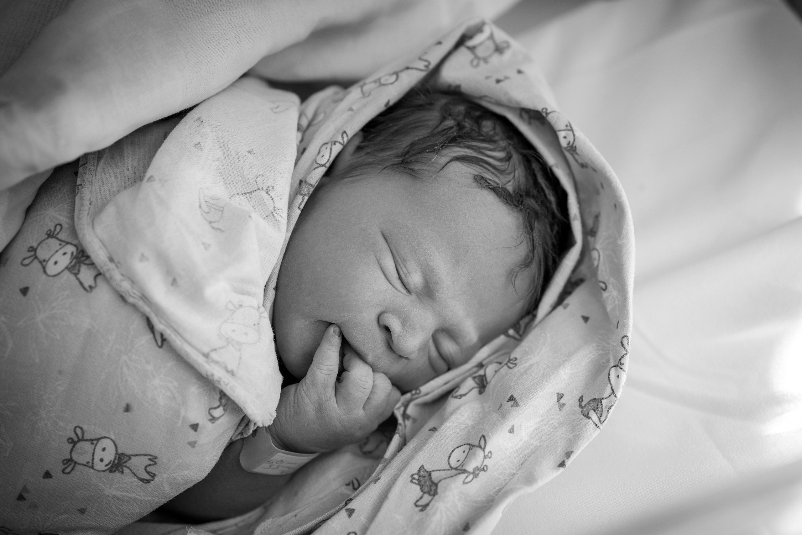 Рождение Тимофея