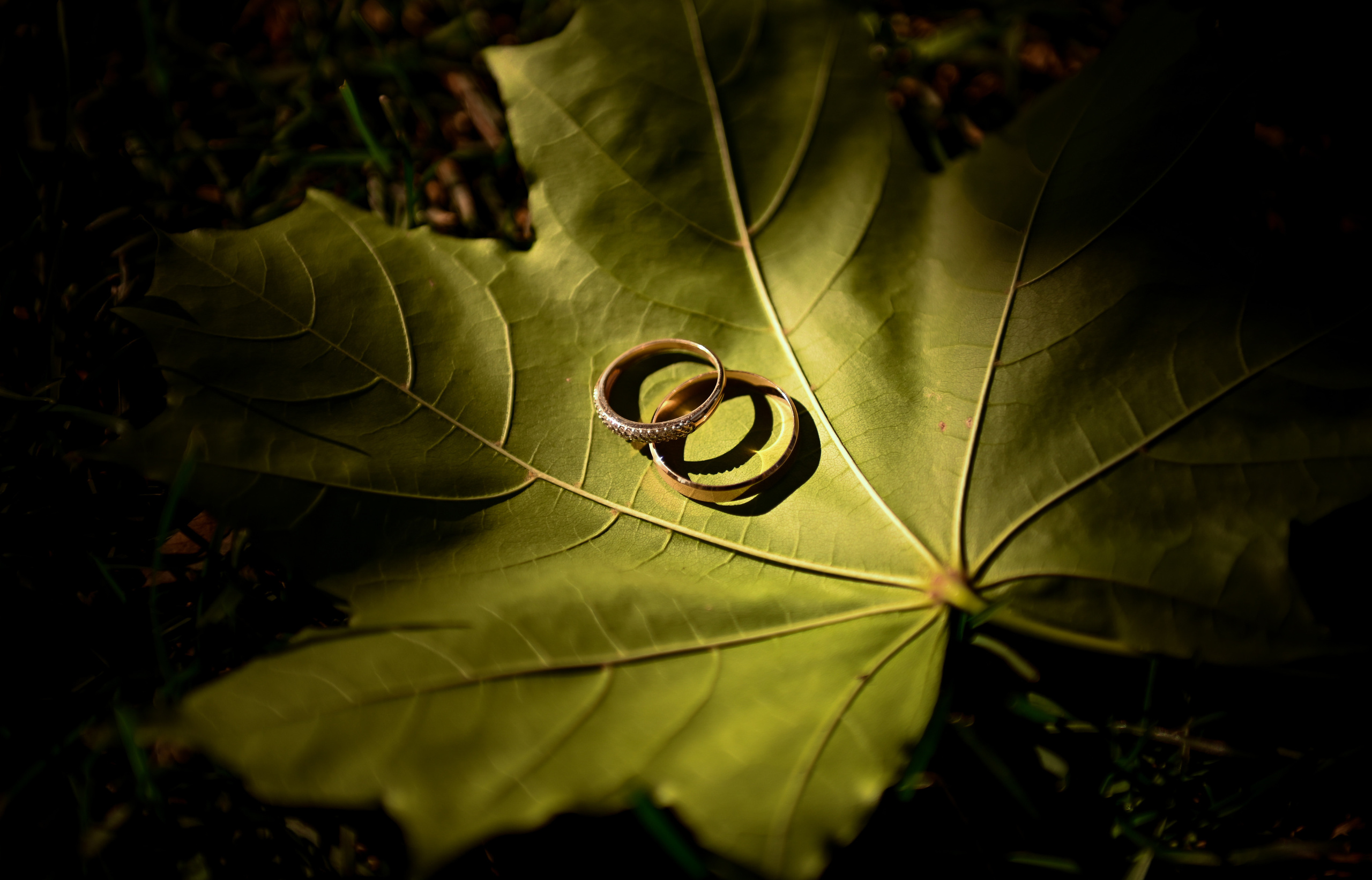 ПАША и ЖЕНЯ веселая часовая прогулка. Свадебный, семейный, детский, контент фотограф в Омске Максим Ильин