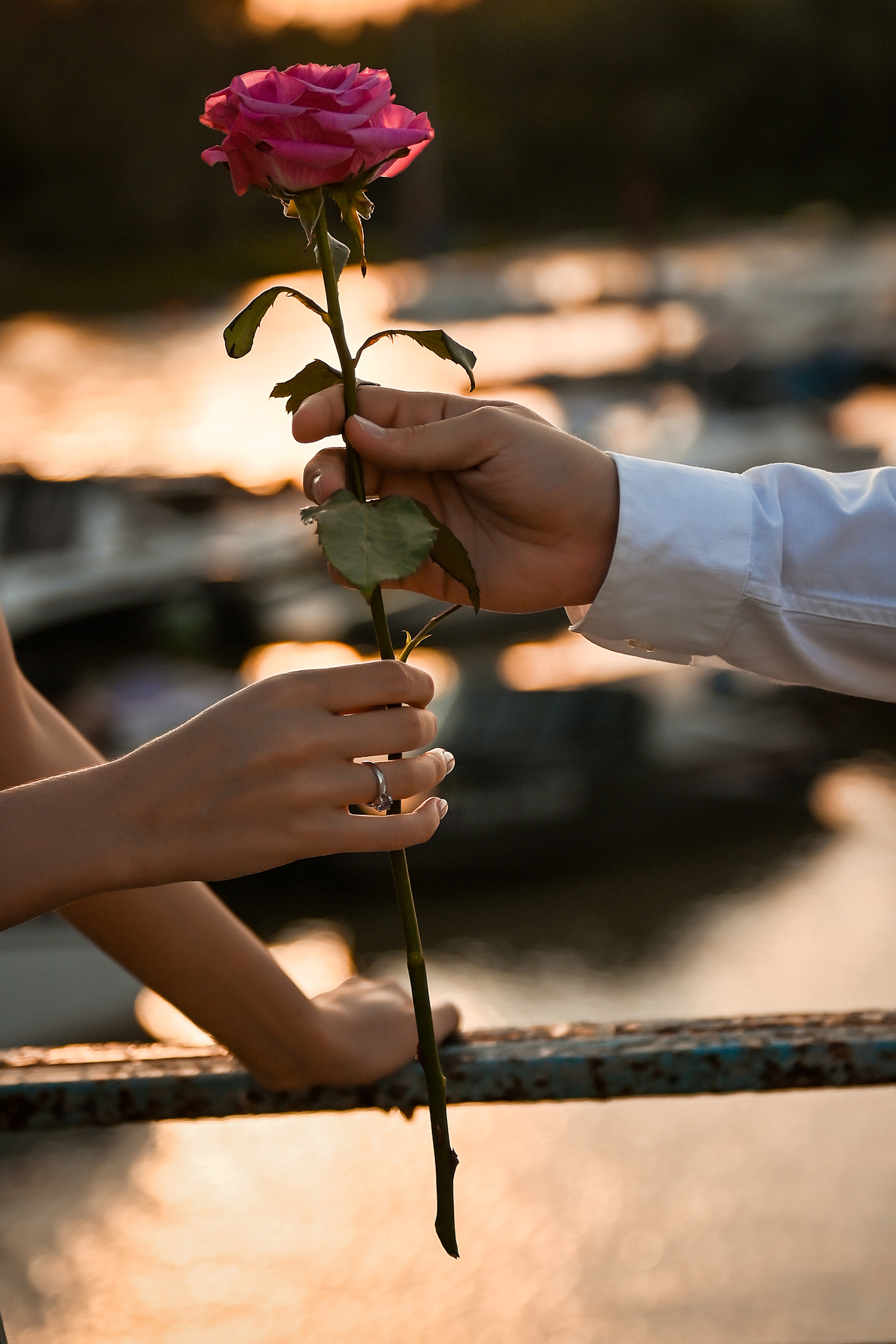 Love story Александра и Виктории на закате. Свадебный, семейный, детский, контент фотограф в Омске Максим Ильин