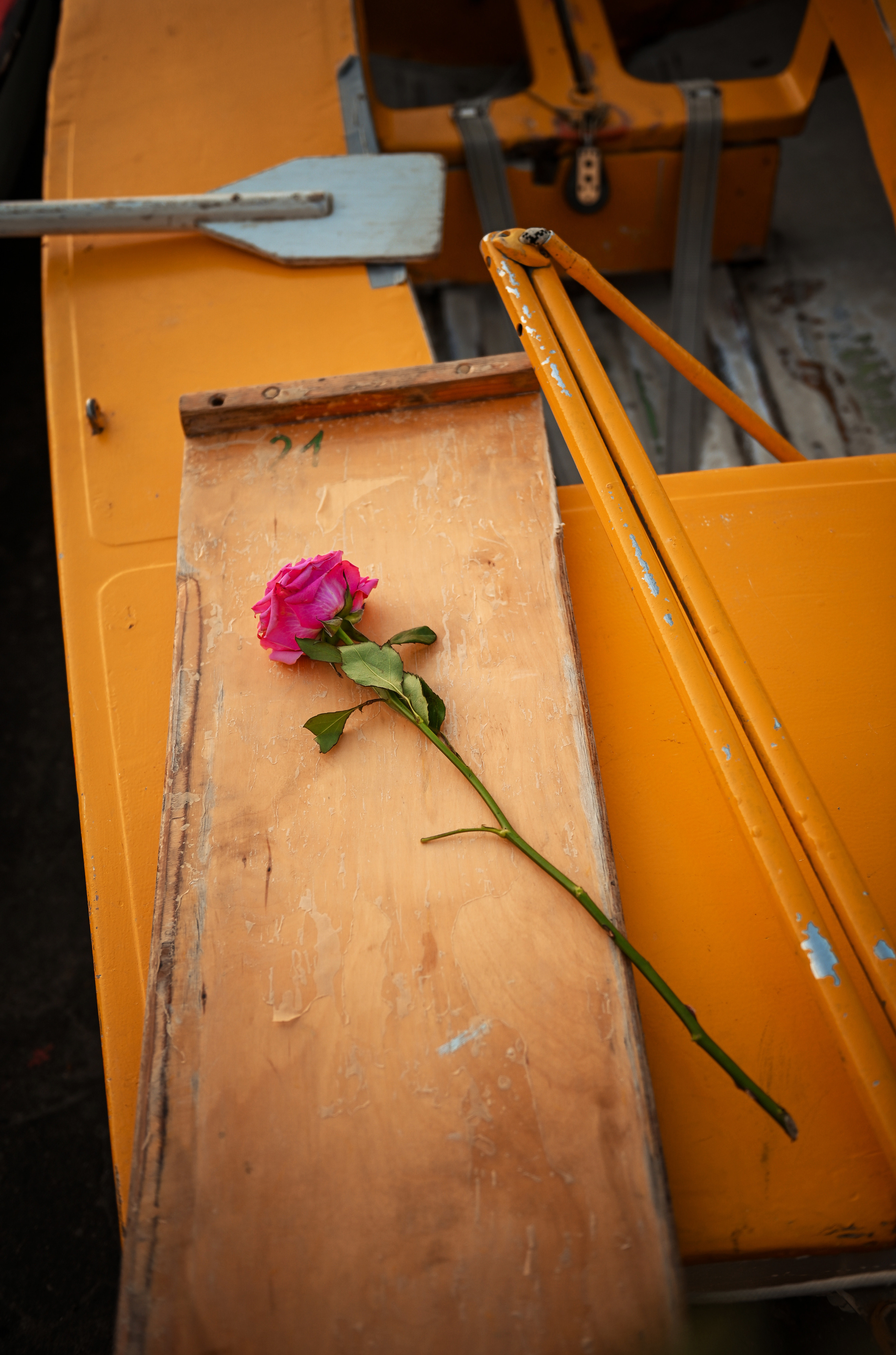Love story Александра и Виктории на закате. Свадебный, семейный, детский, контент фотограф в Омске Максим Ильин