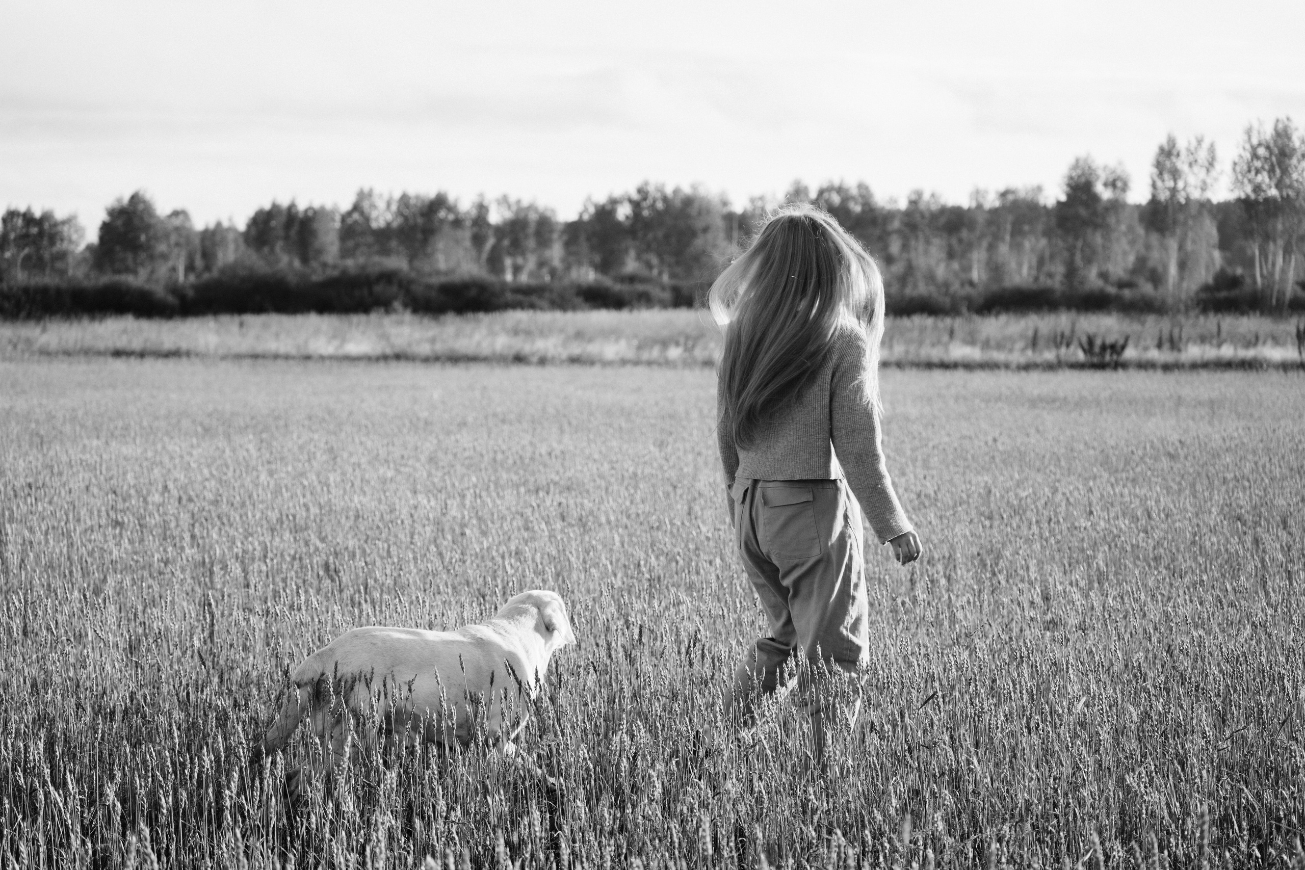 Дана и Арчи. Фотограф-анималист Анастасия Большакова