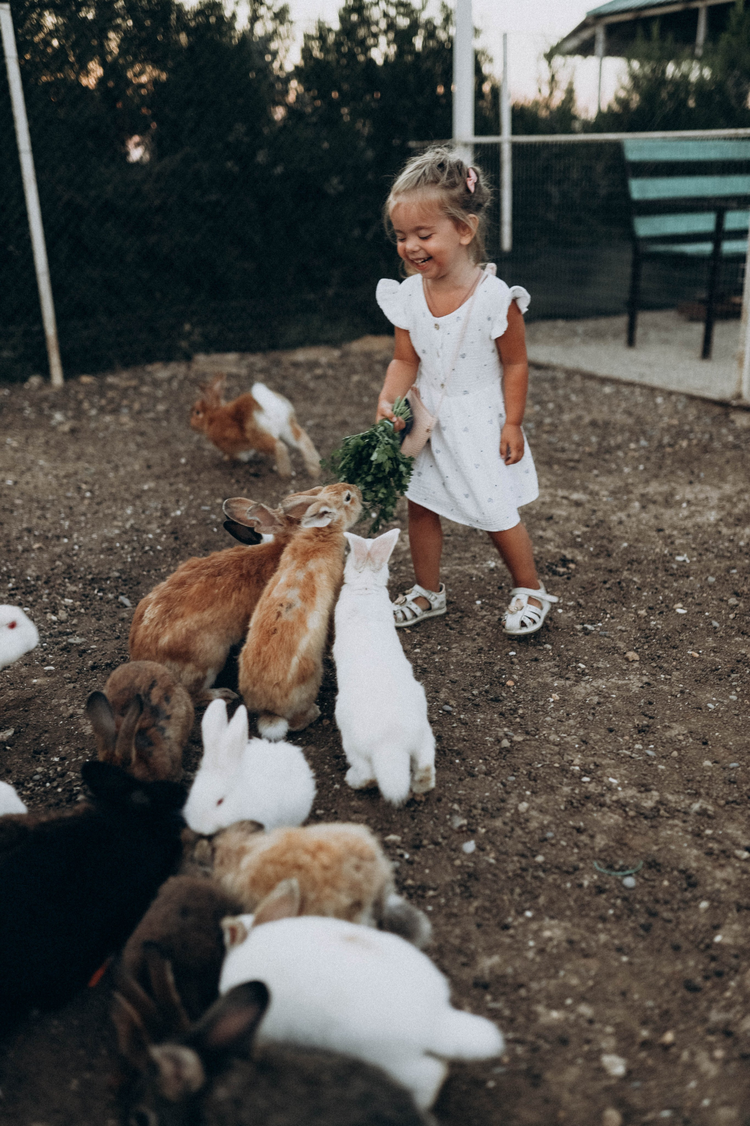 Кроликпарк 🐇. Индивидуальные и семейные съемки в Евпатории, Крыму Немировченко Анна