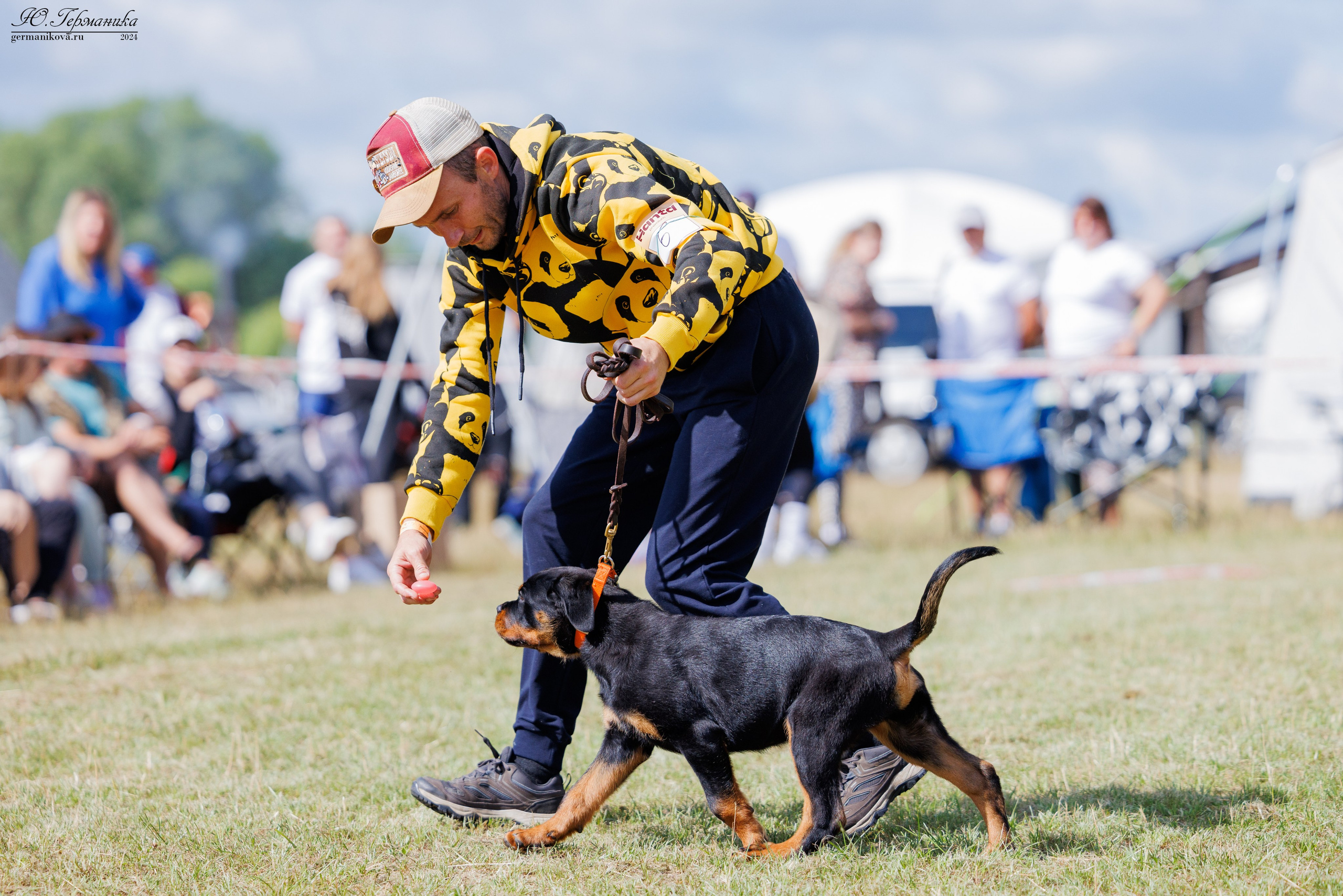 ПК и КЧК ротвейлеры Тверь 6-7.07.2024. Фотограф-анималист Юлия Германика