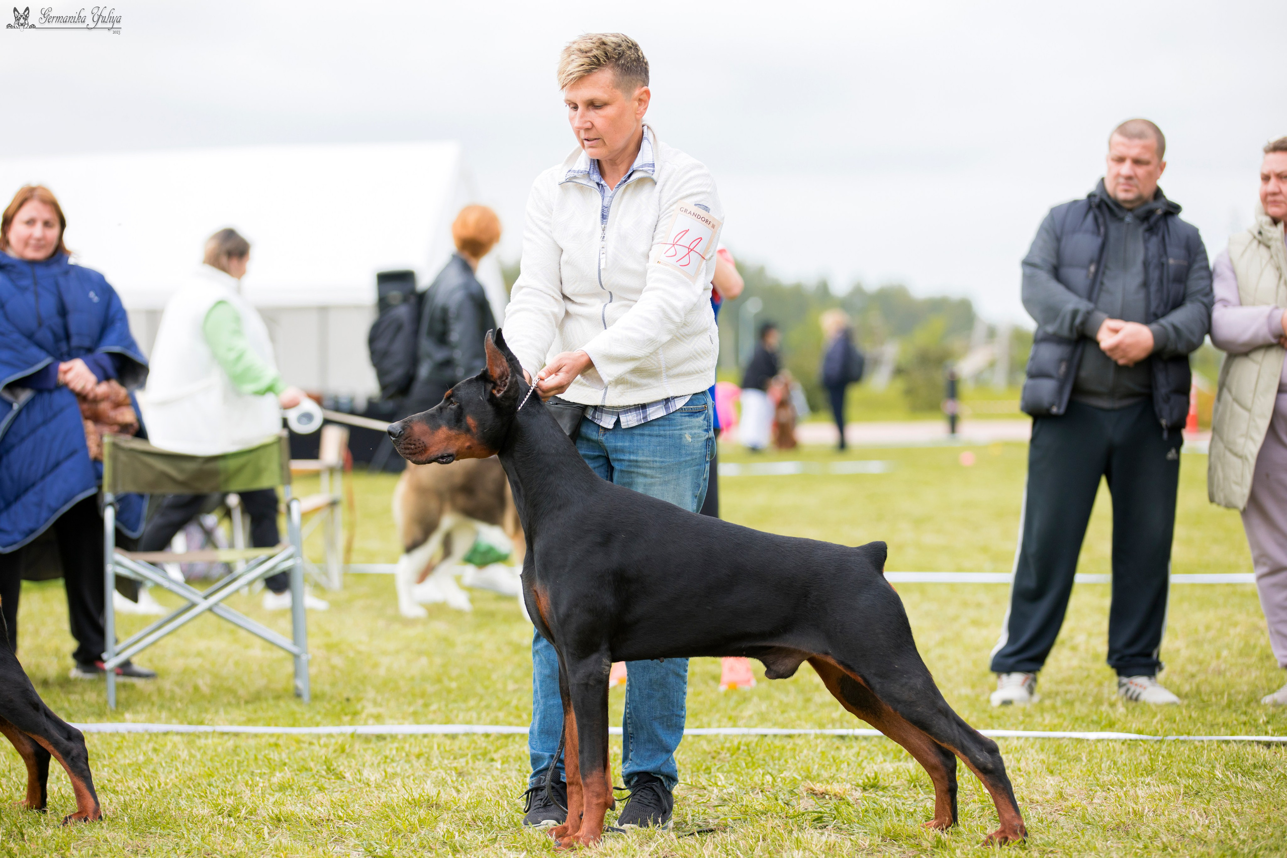 Переславль 9-10.09.2023. Фотограф-анималист Юлия Германика