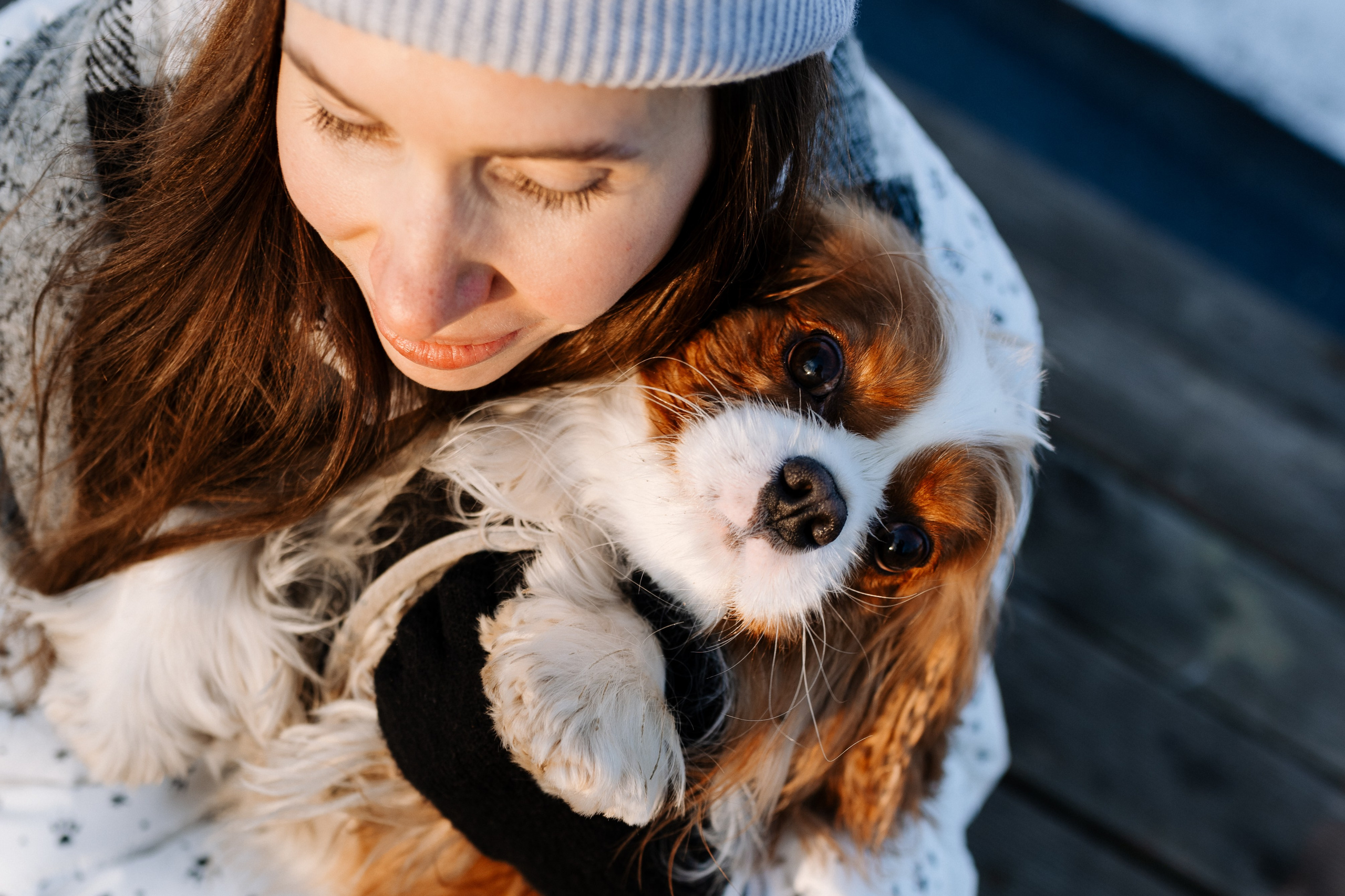 Лена и Арчи. Фотограф анималист в Москве Ольга Агушева