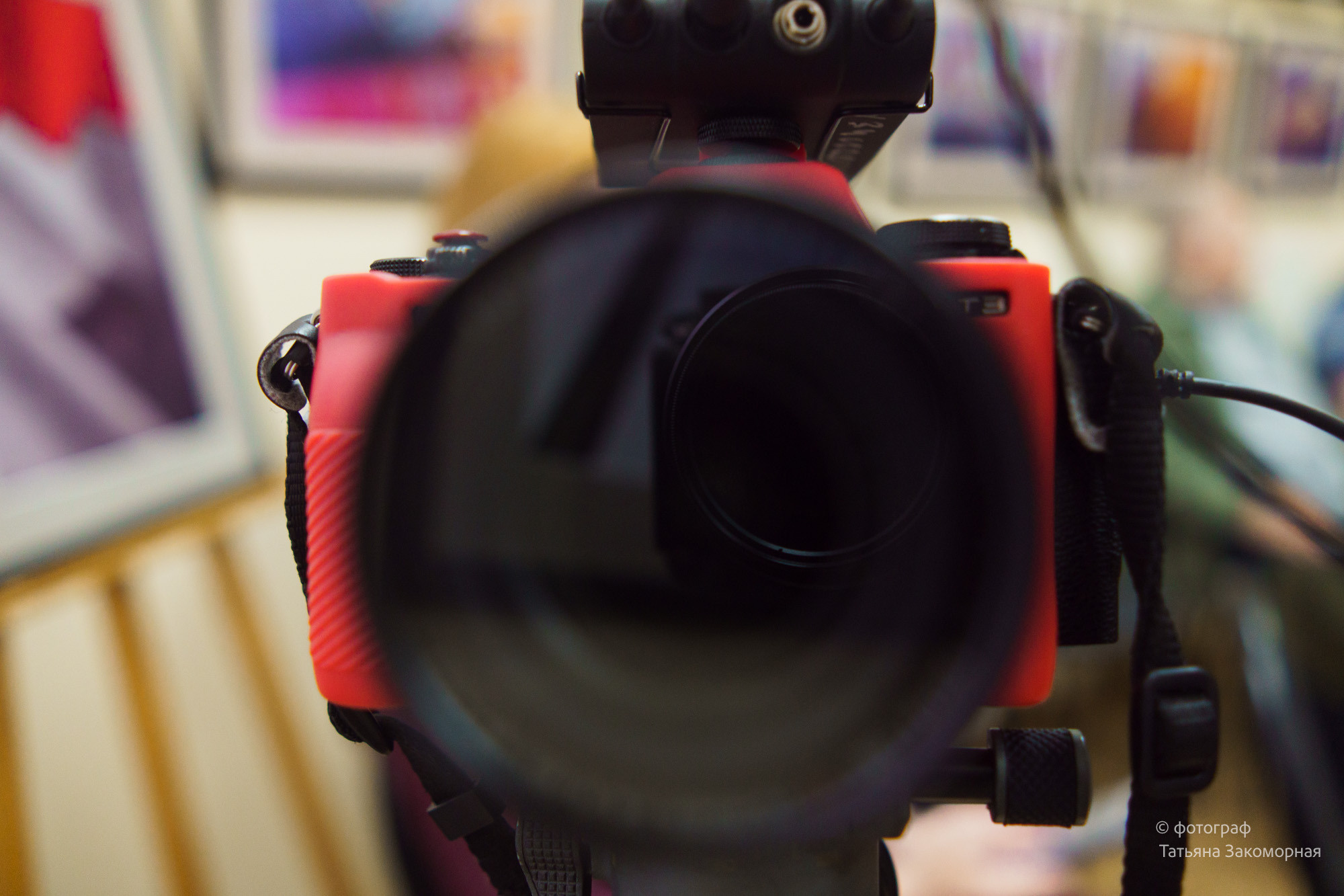 Репортажная фотосъёмка. Фотомастерская Андрея Закоморного