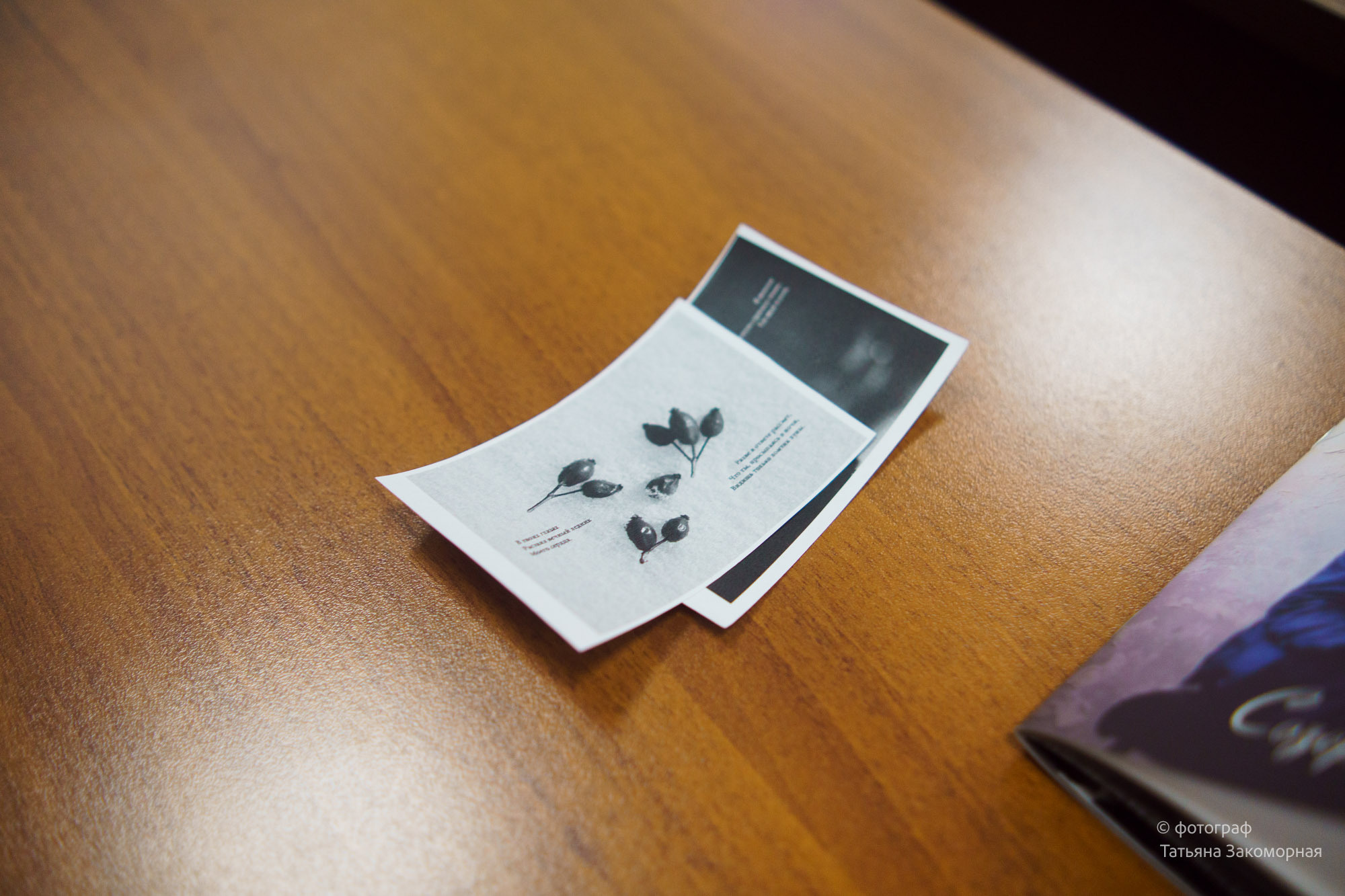 Репортажная фотосъёмка. Фотомастерская Андрея Закоморного