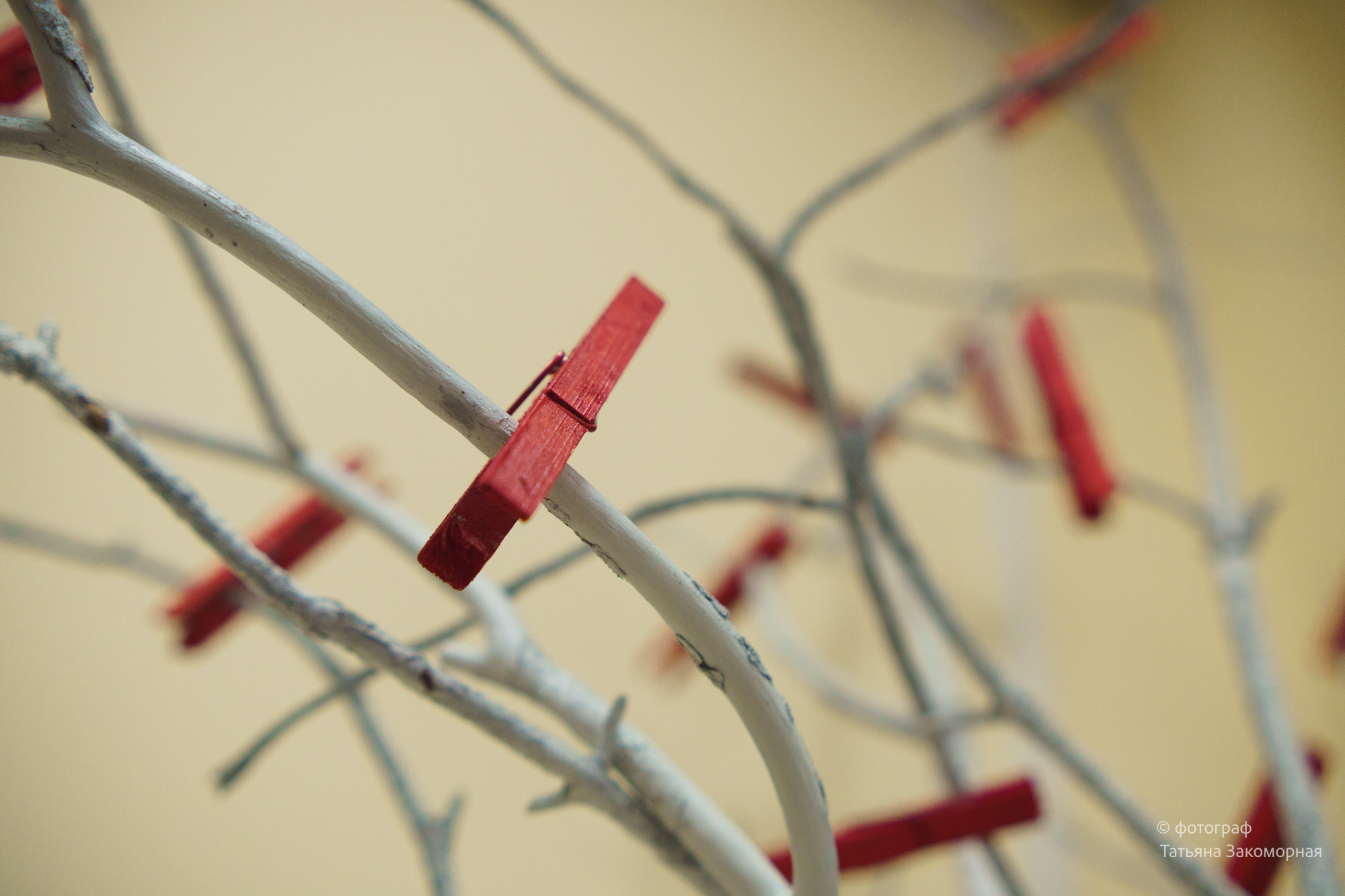 Репортажная фотосъёмка. Фотомастерская Андрея Закоморного