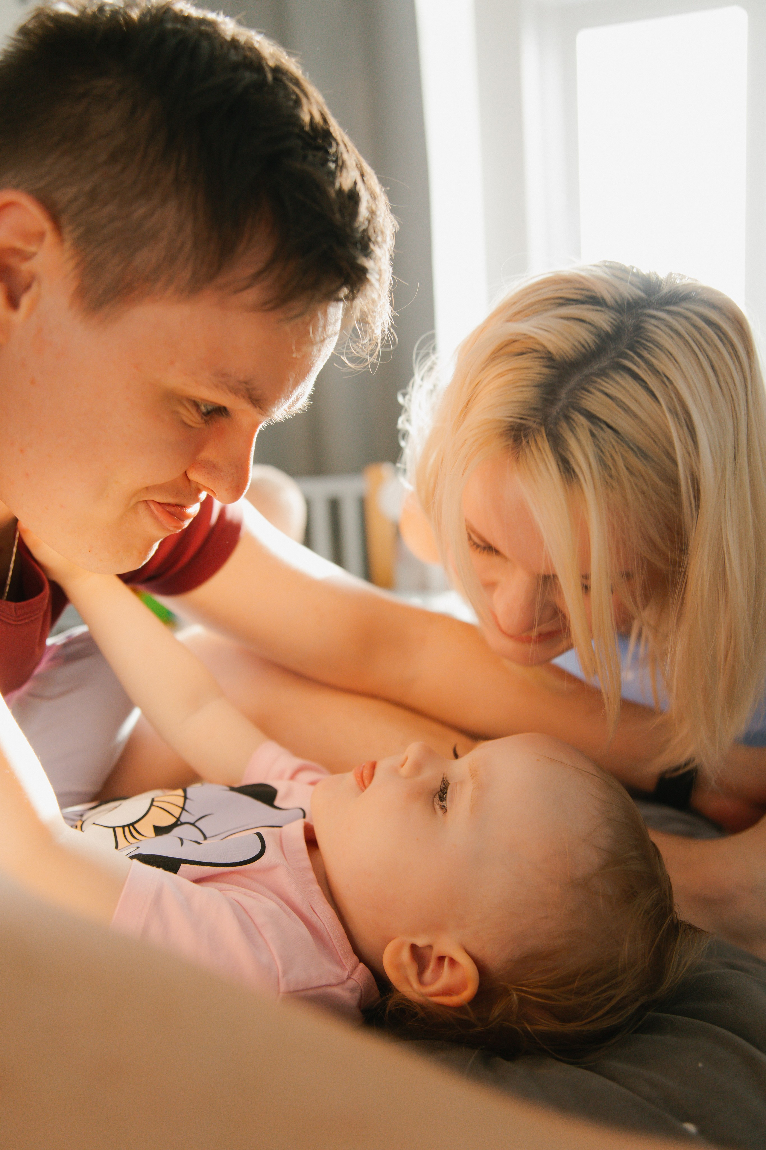 Polja. Главная