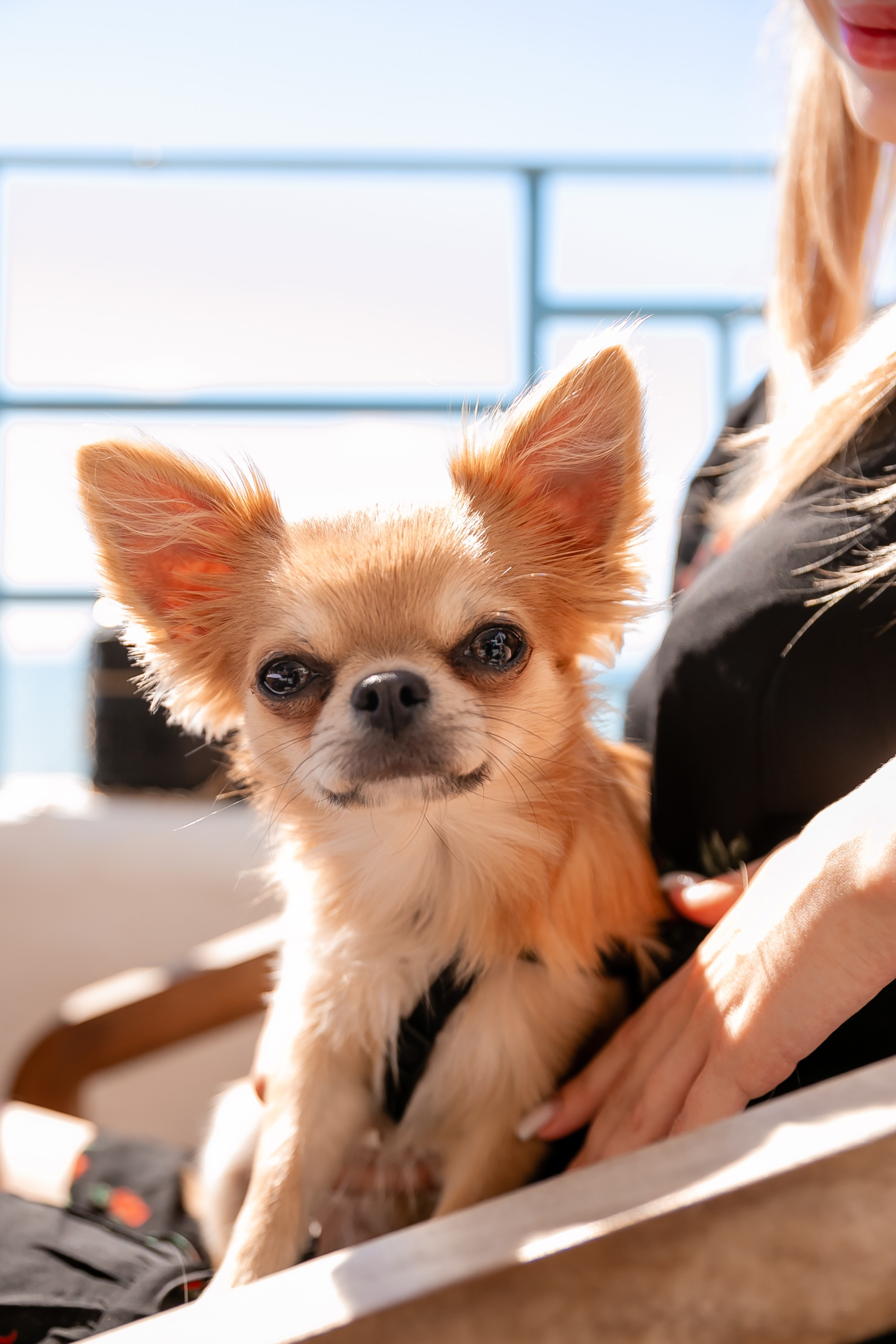 «Похмельный рейв» в ресторане DELMAR. Репортажный фотограф в Ялте Алексей Семёнов