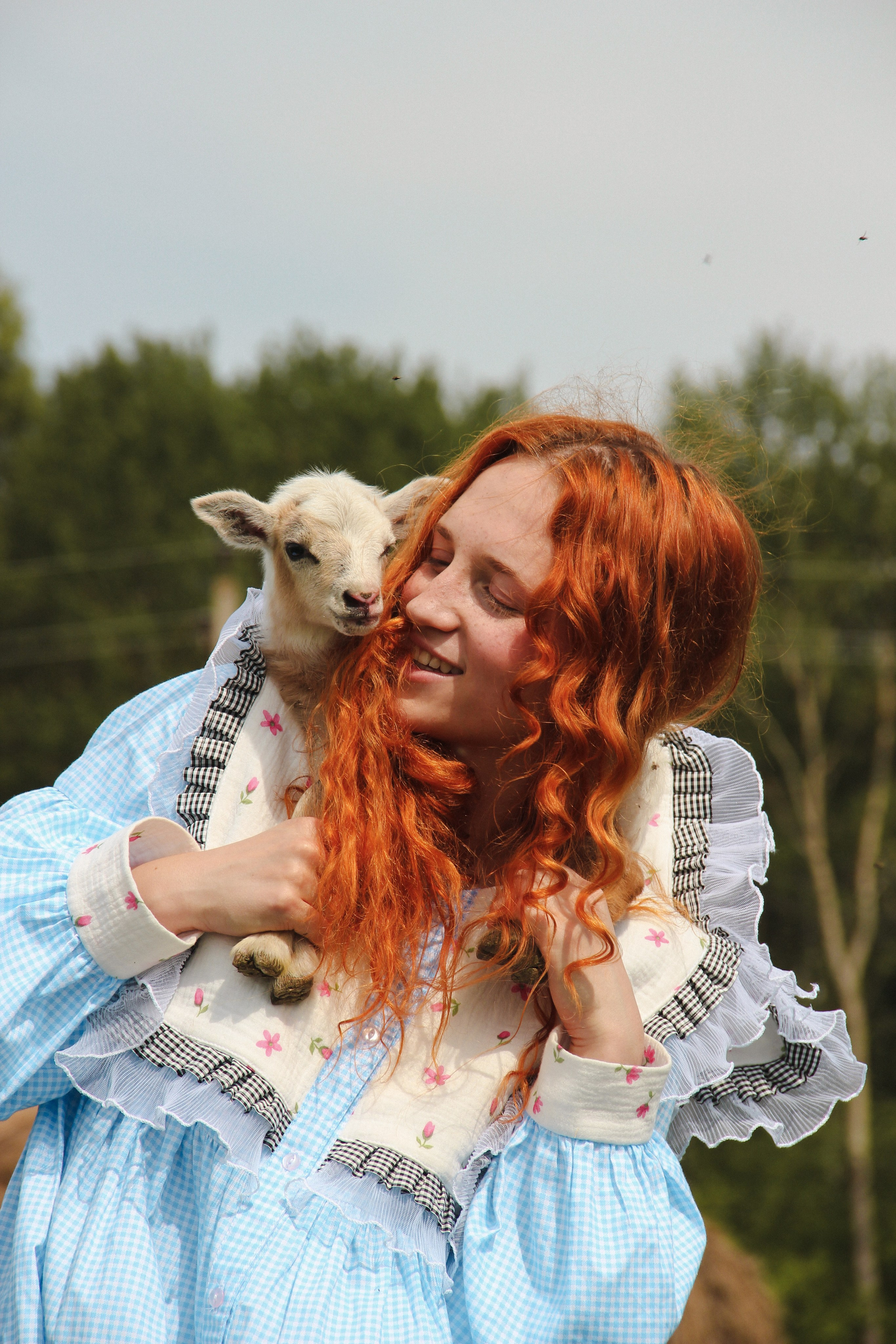 Farm photos. Главная