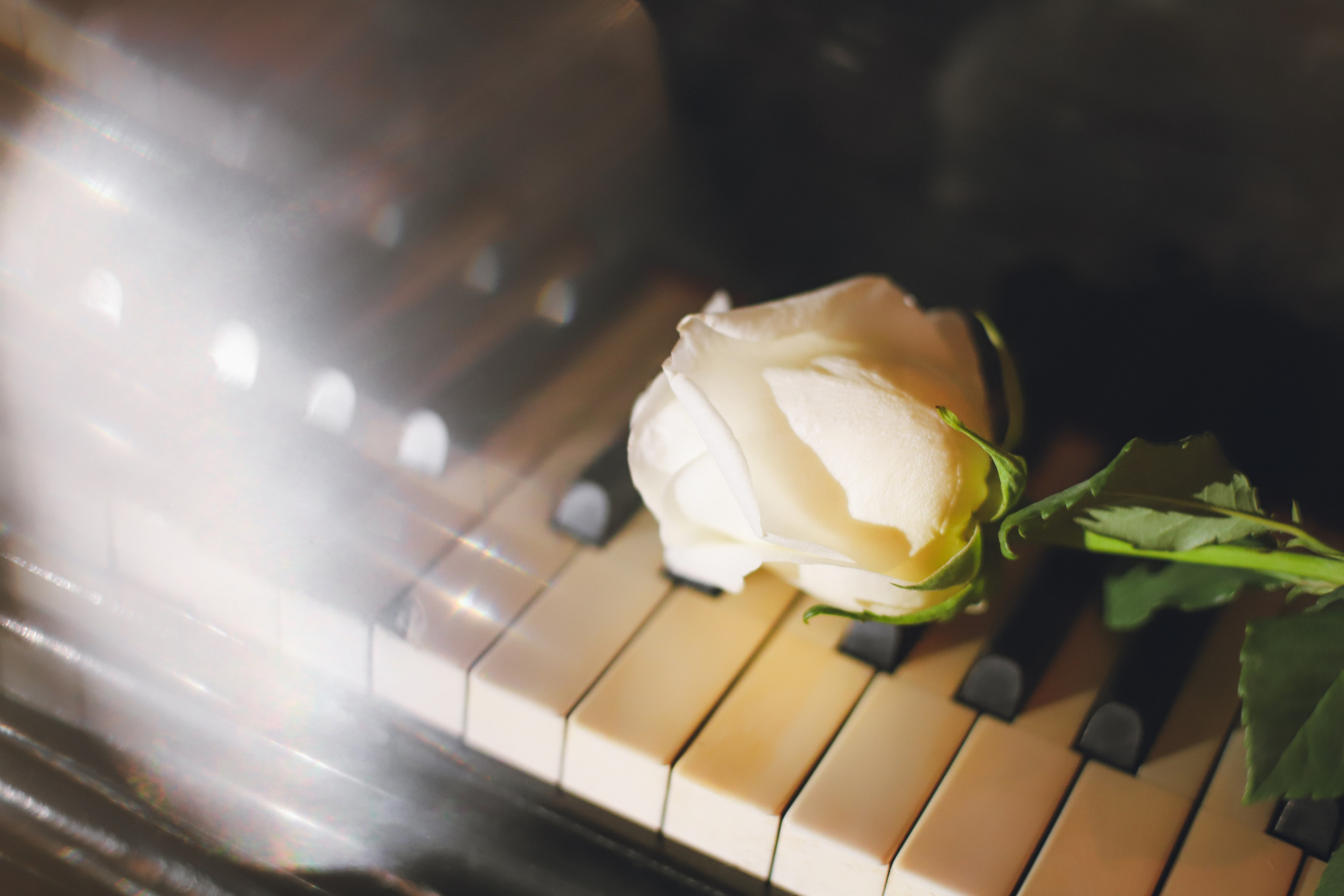 Студия Флэт, съемка Муза. Фотограф в Сургуте Брызгунова Анастасия