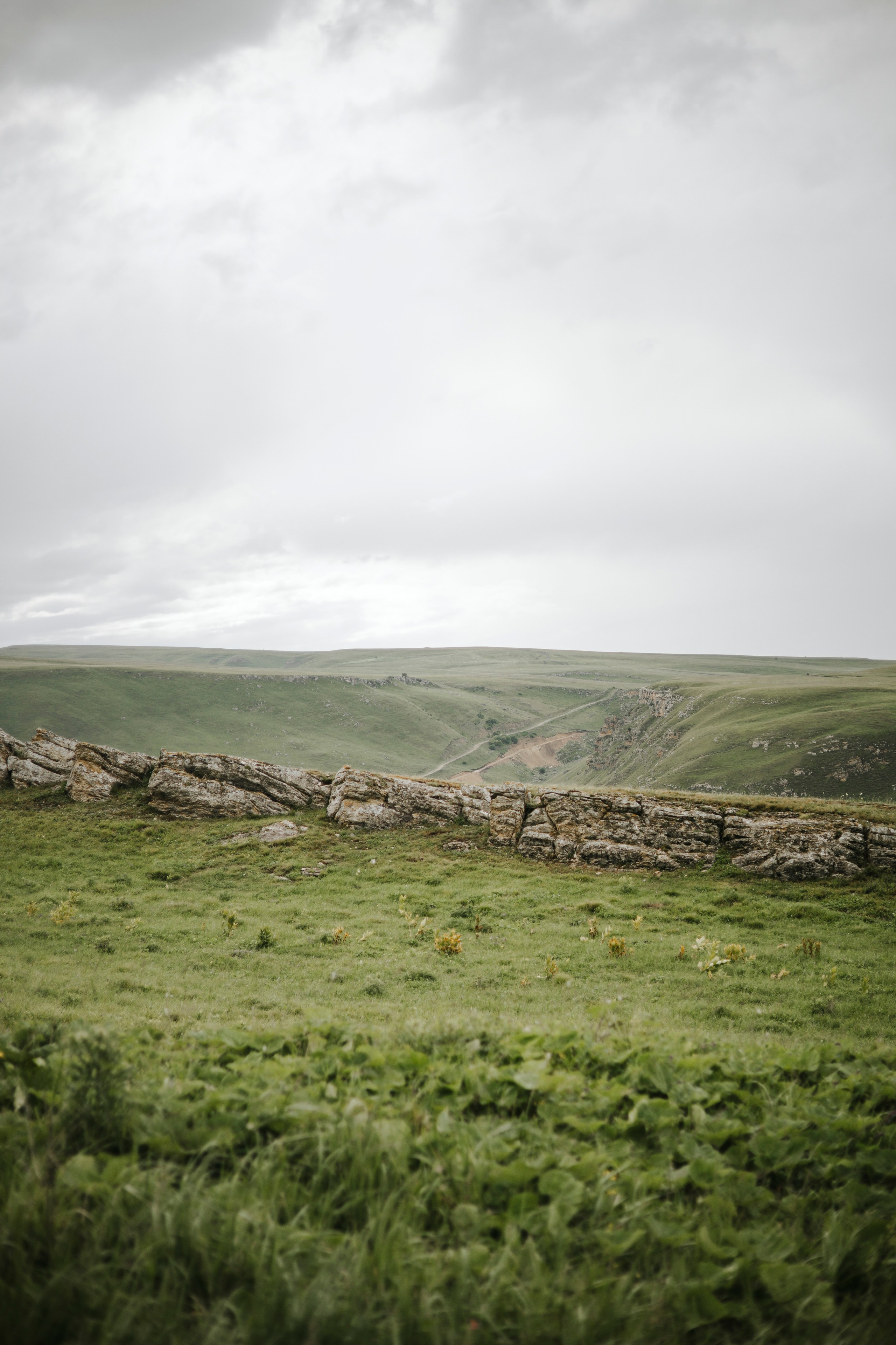 Mountains. Nikolpinhasova