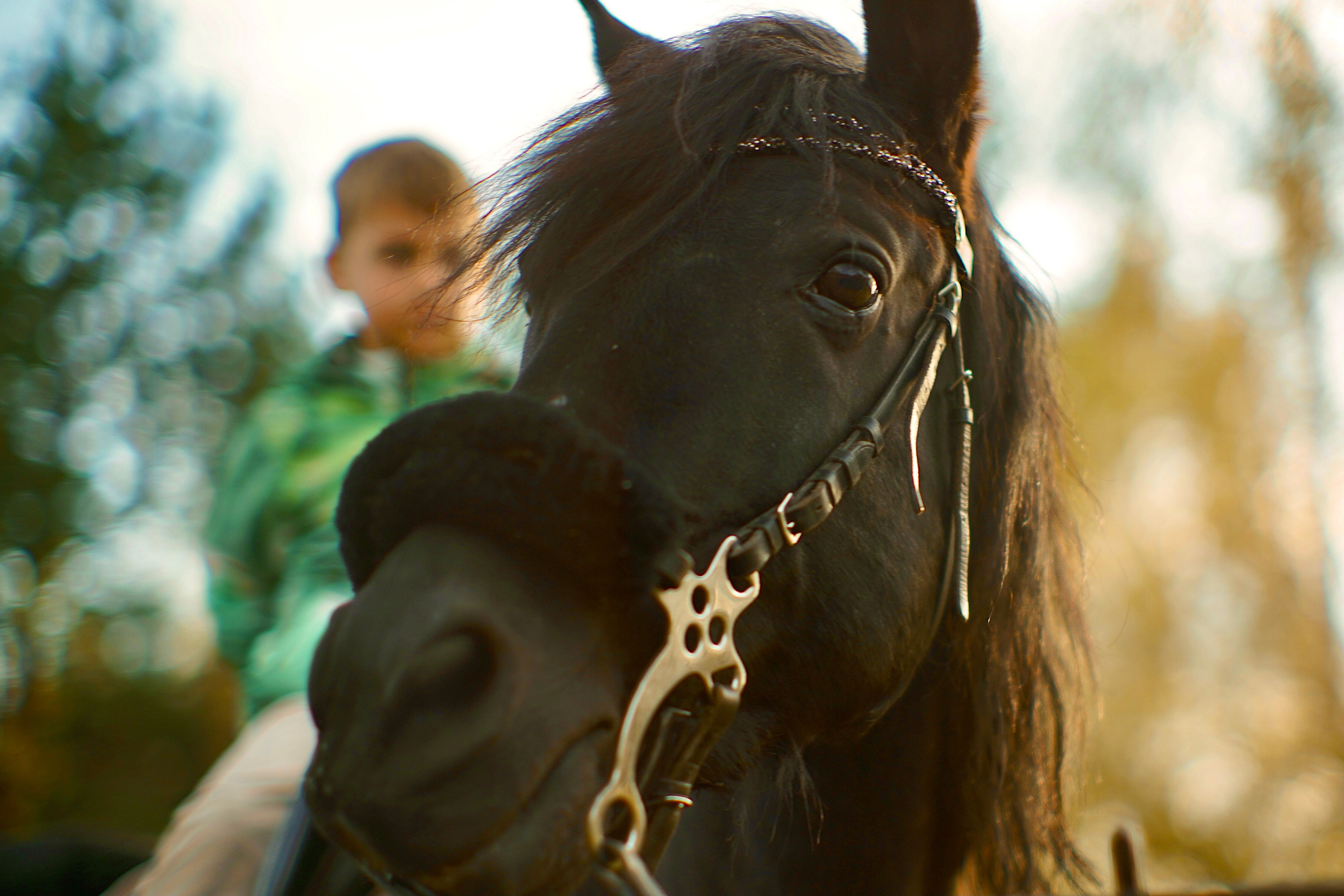 Документально о любви. Алина Горбанёва, Видеограф в Москве