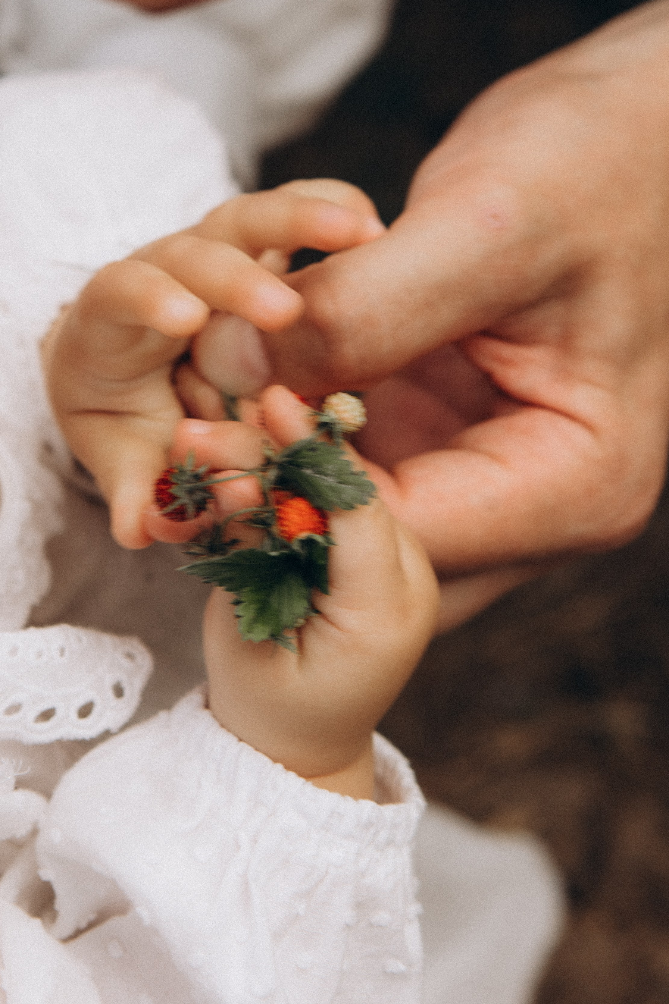 Фото прогулки. Предметный фотограф и фотограф в стиле Lifestyle