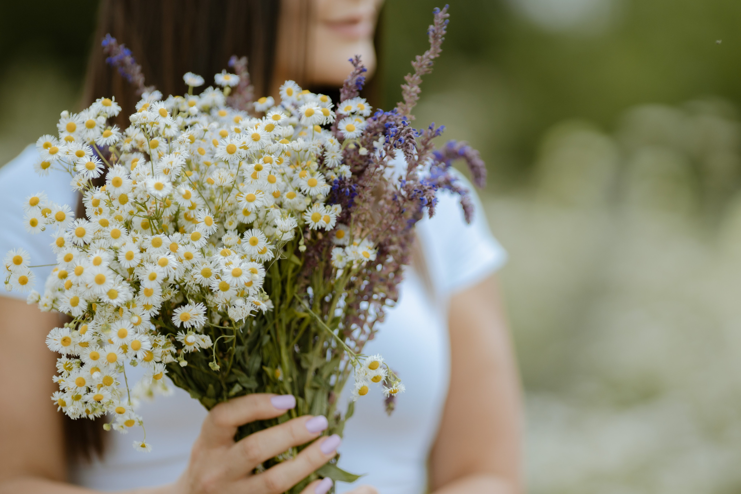 Лето. Профессиональный фотограф и видеооператор