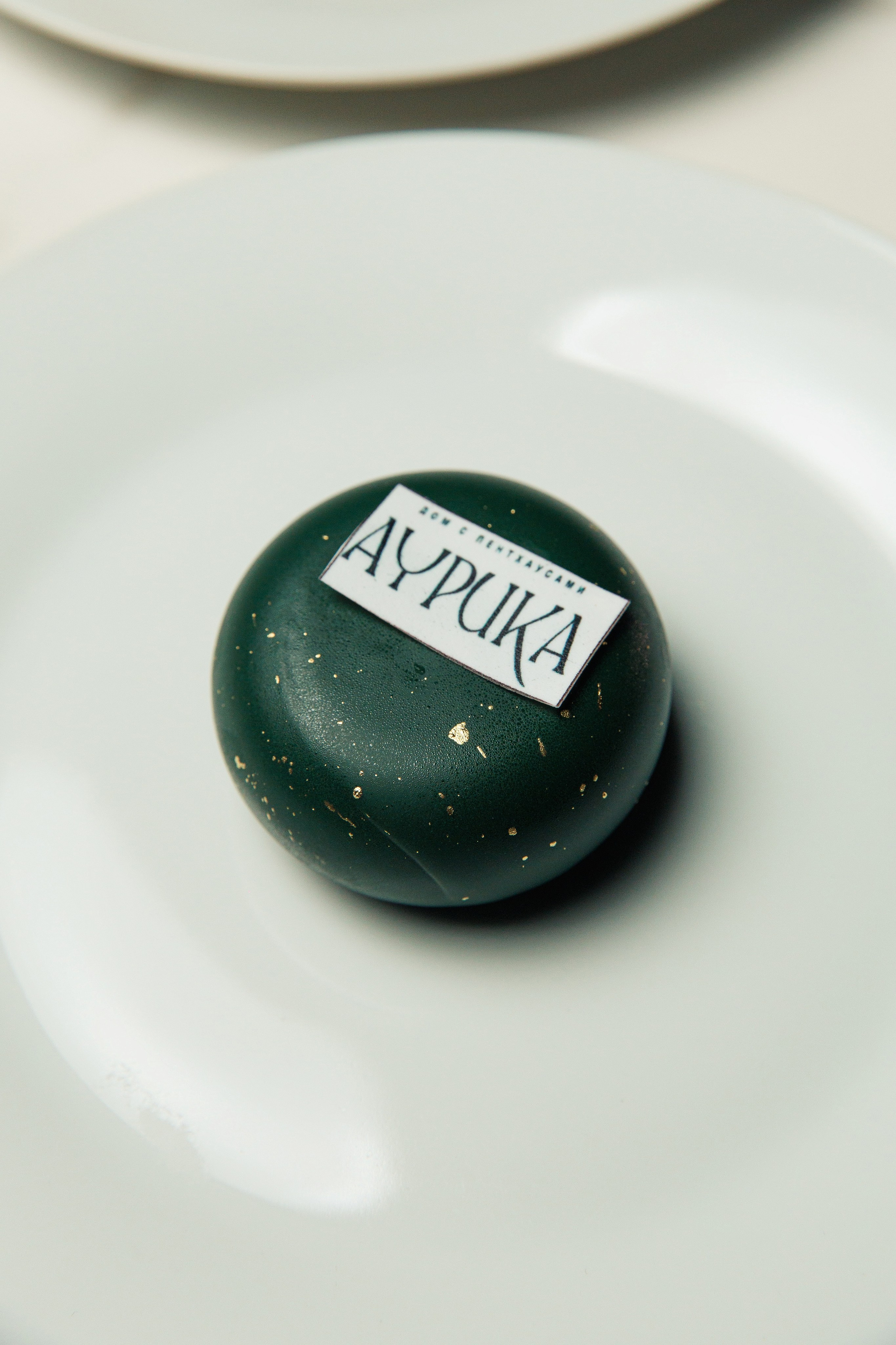 Репортажная съёмка мероприятя. Презентация жилого комплекса Aurica и гастро ужин
