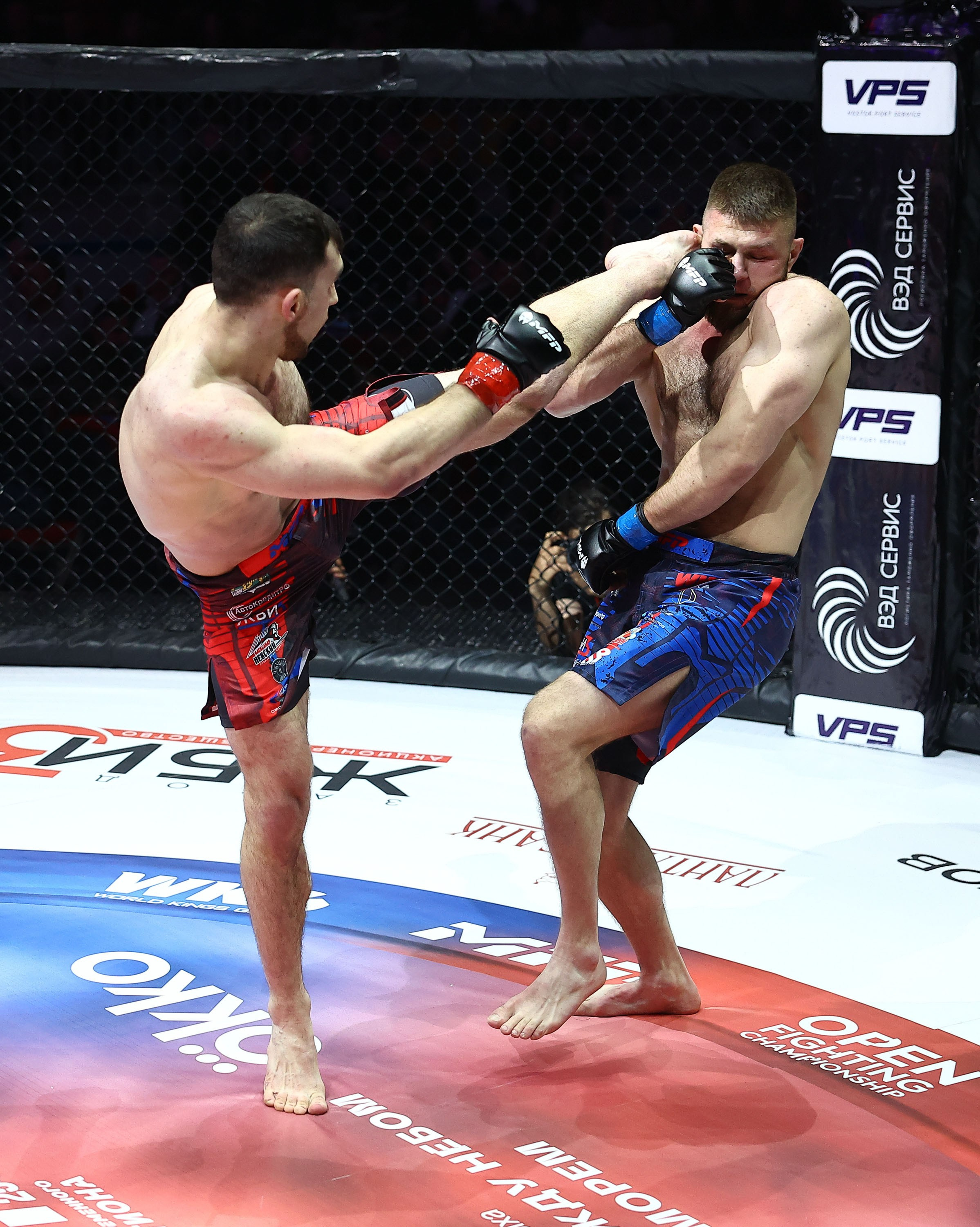 MFP 254. Репортажный фотограф во Владивостоке