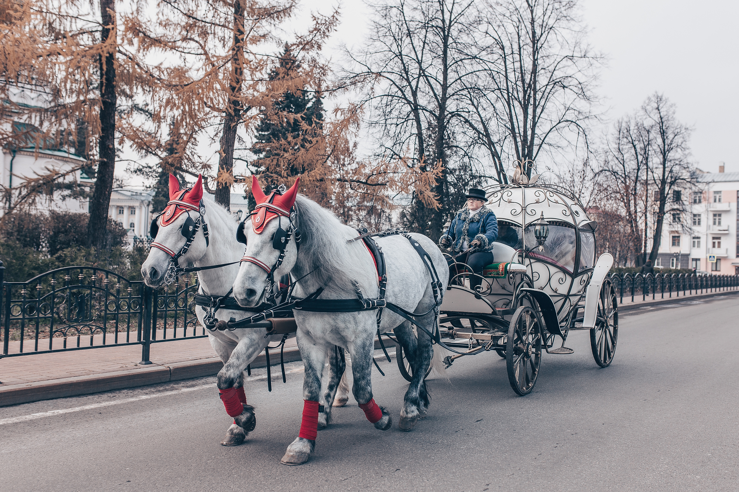 Свадебная съемка - Карлос и Натали. Свадебный фотограф в Ярославле - Леонид Комаров