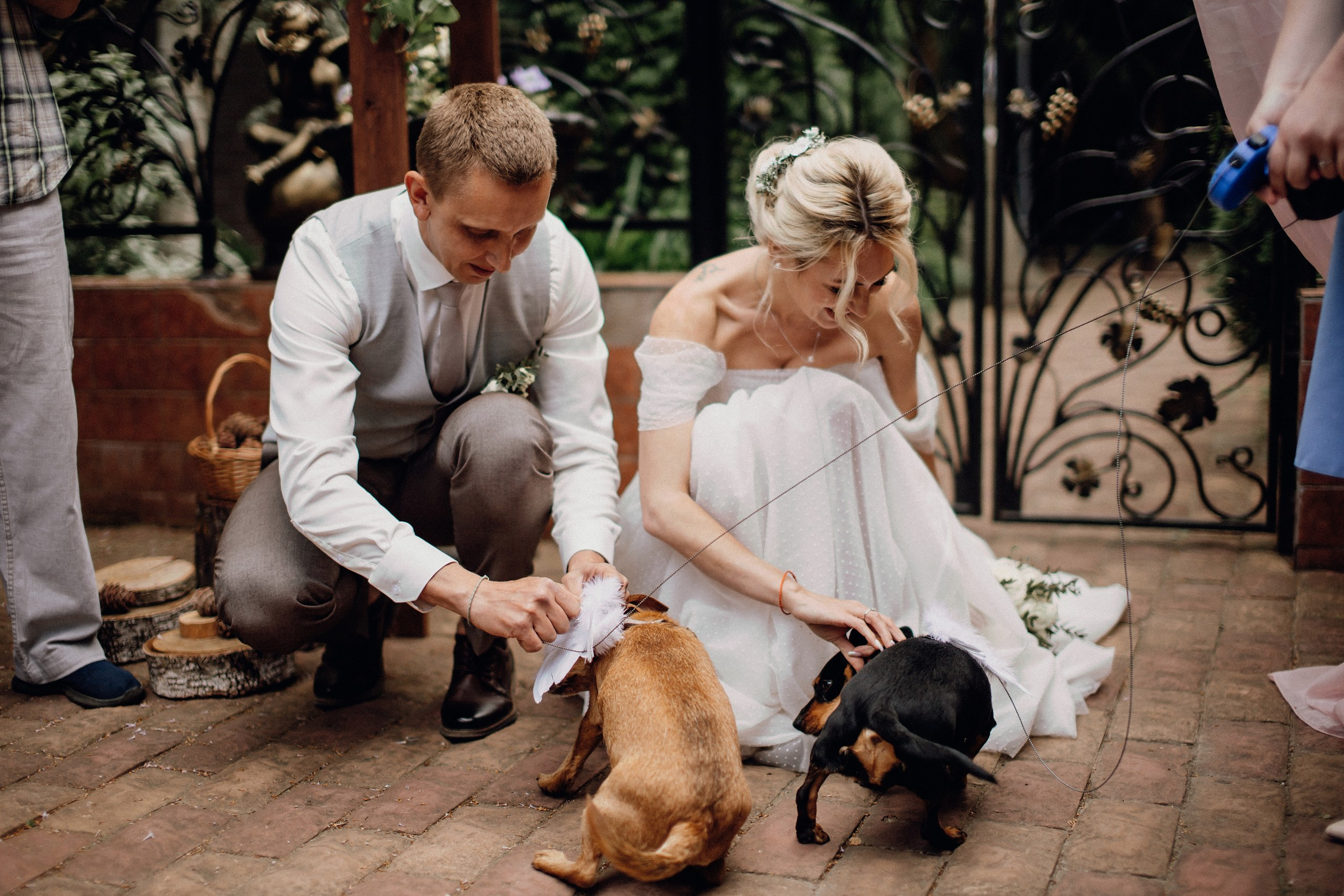 Виктория и Иван. Портфолио