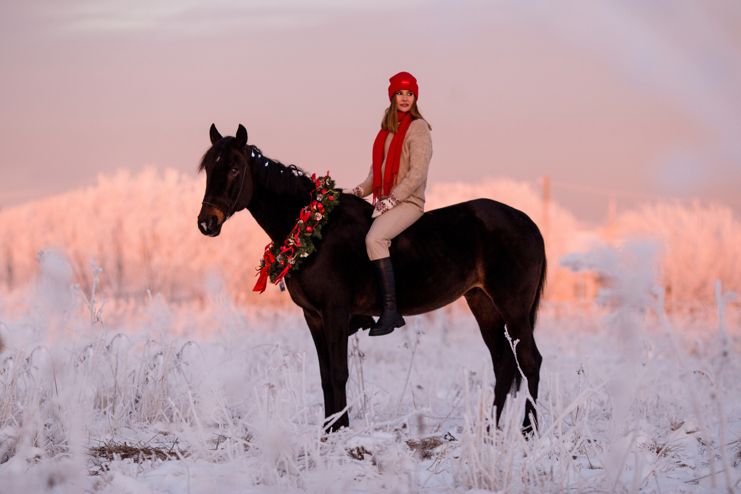 Новогодняя фотосессия с лошадью