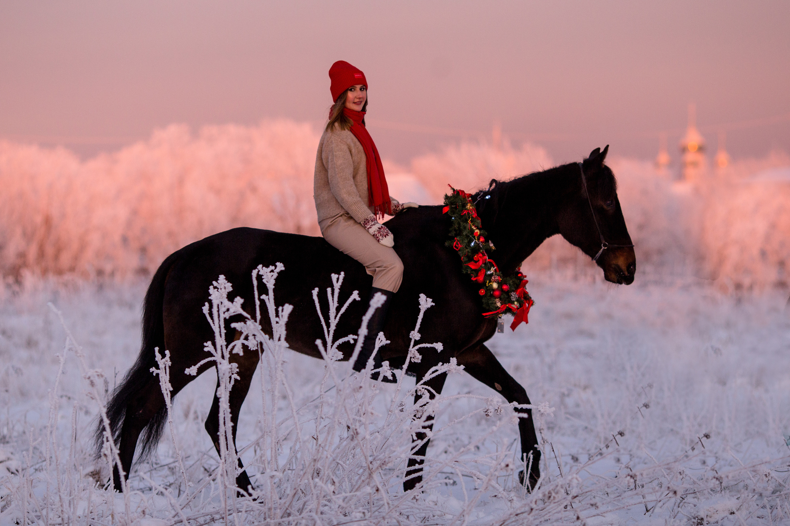 Новогодняя фотосессия с лошадью