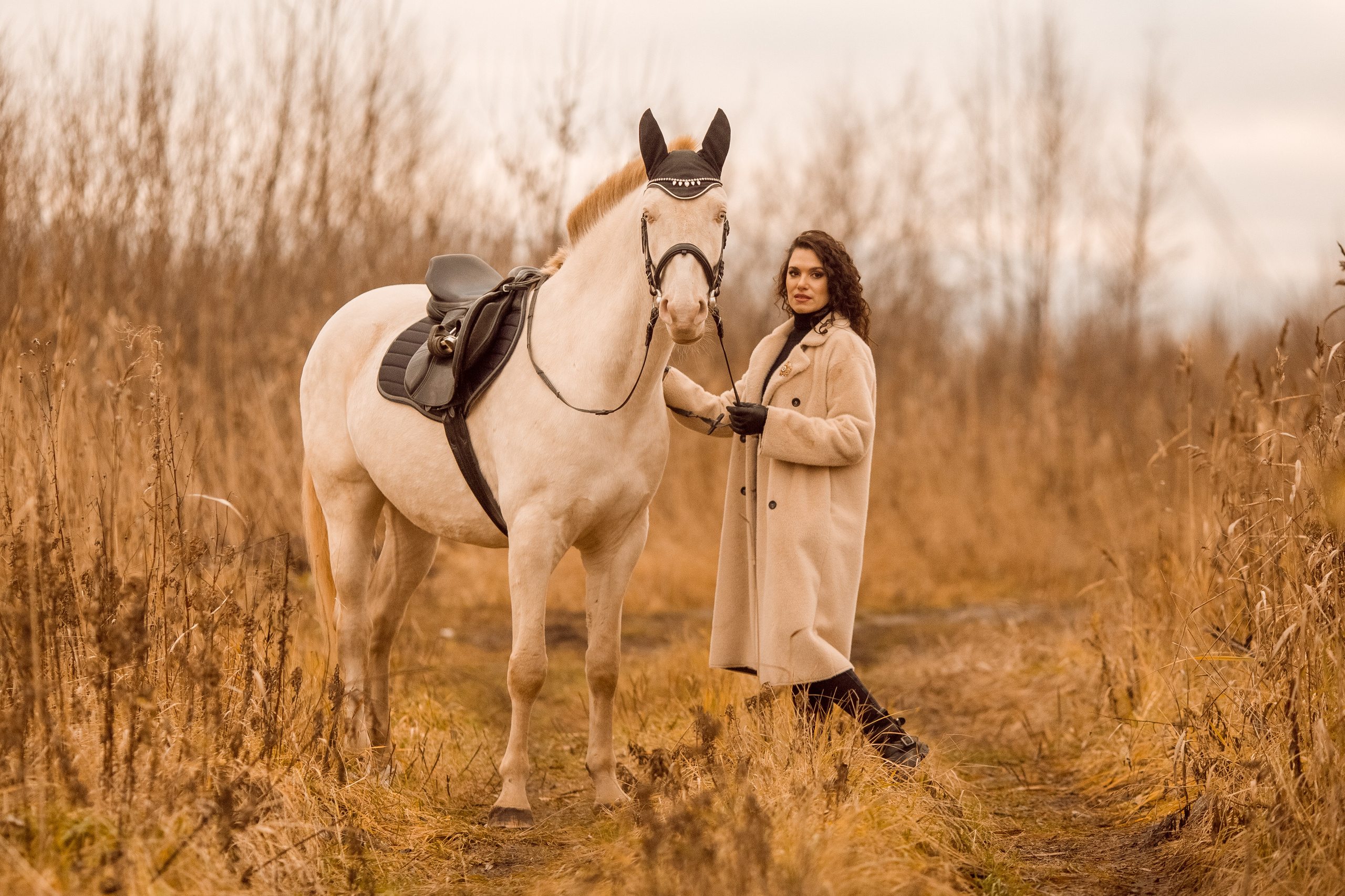 Осенняя фотосессия с изабелловой лошадью