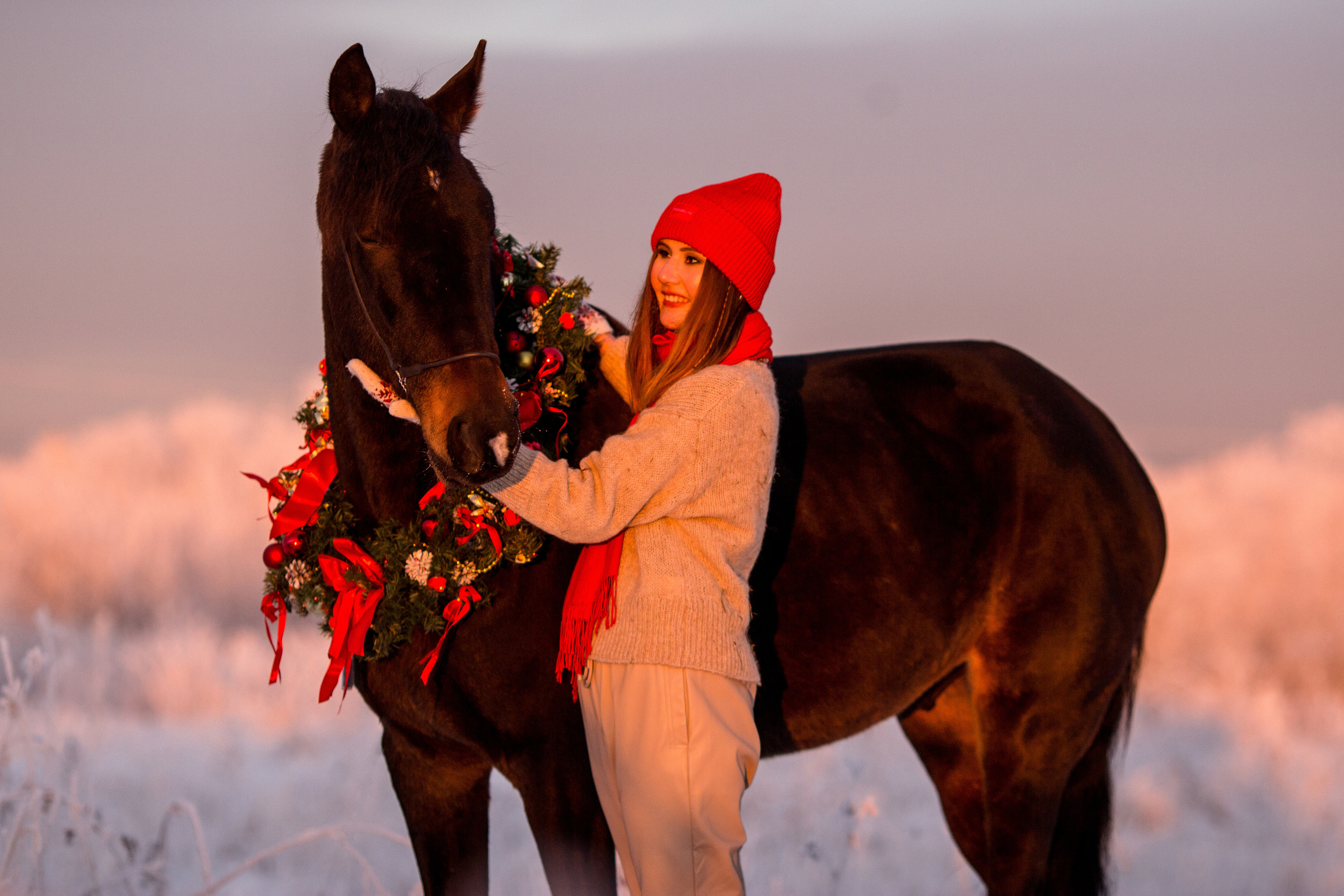 Новогодняя фотосессия с лошадью