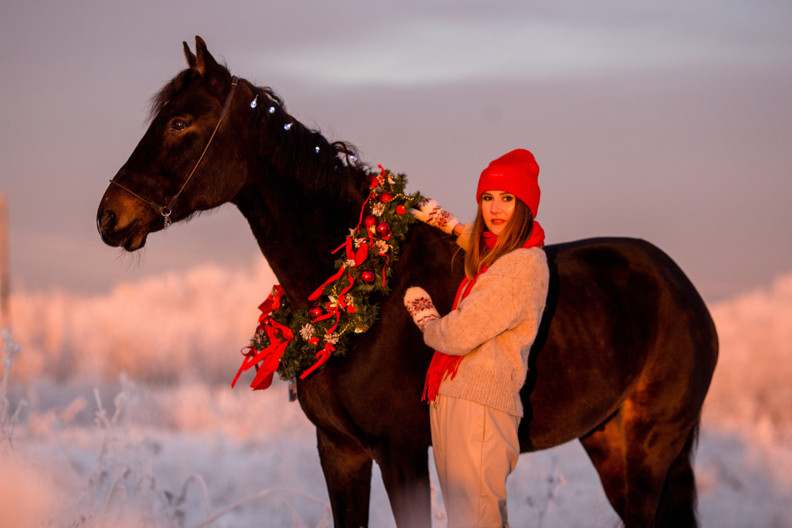 Новогодняя фотосессия с лошадью