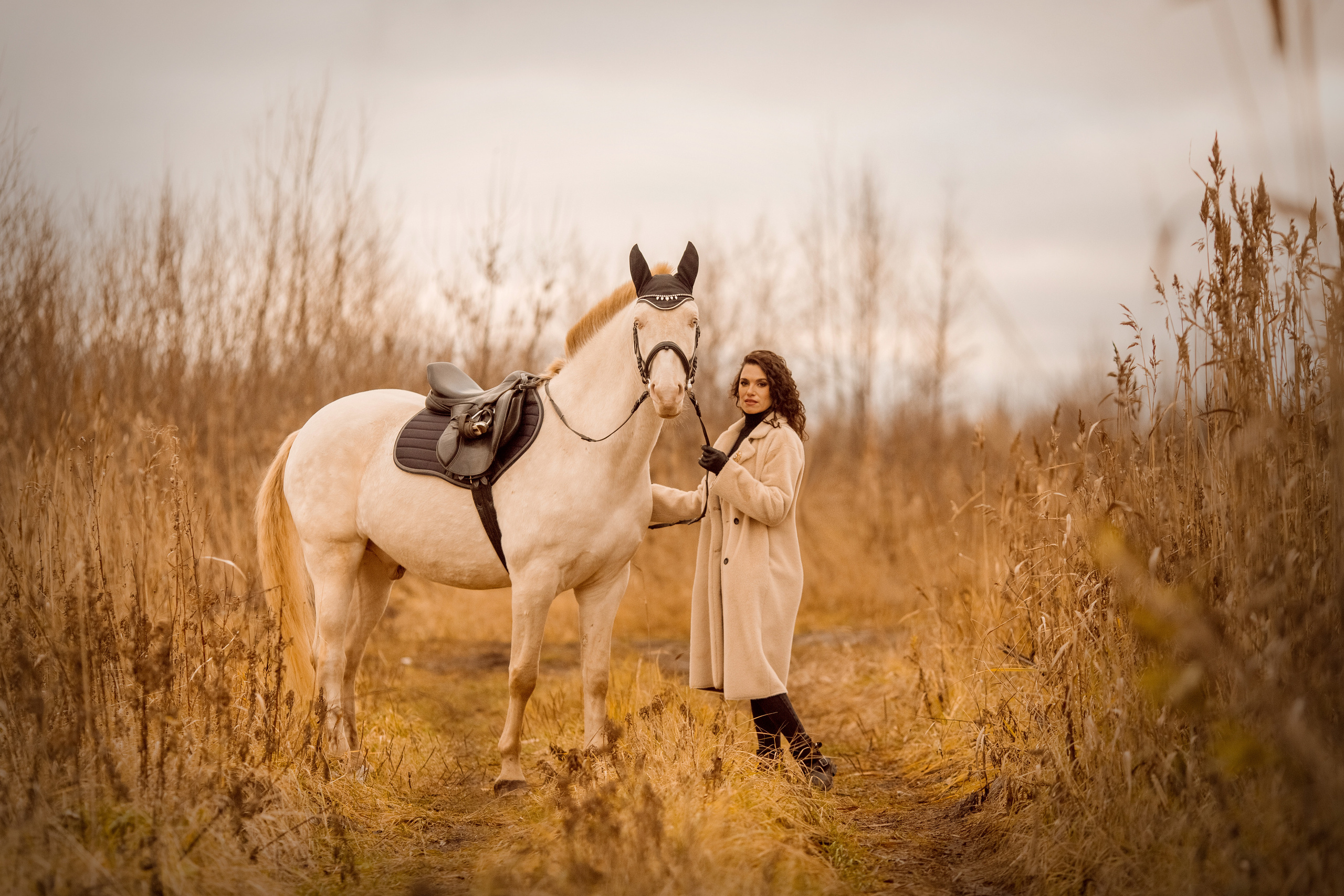 Осенняя фотосессия с изабелловой лошадью