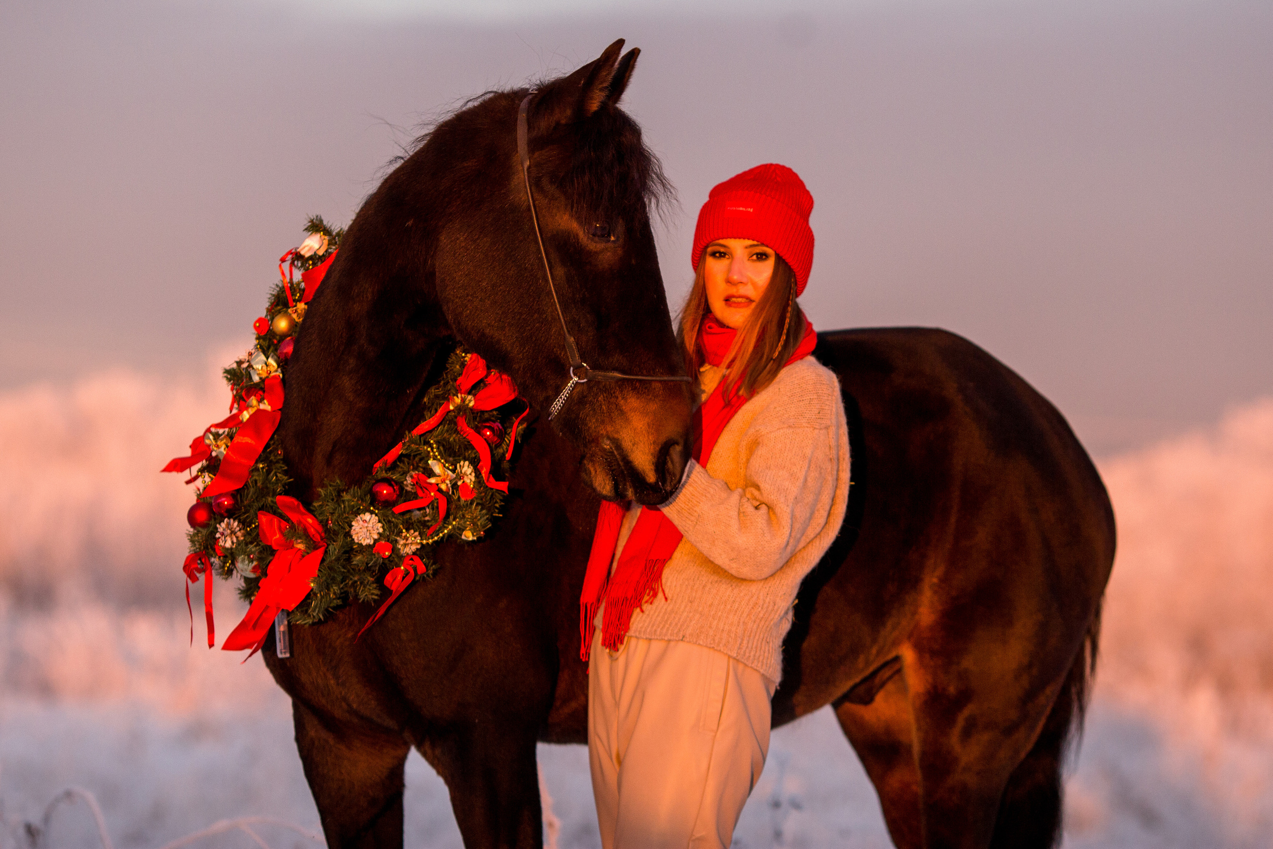 Новогодняя фотосессия с лошадью