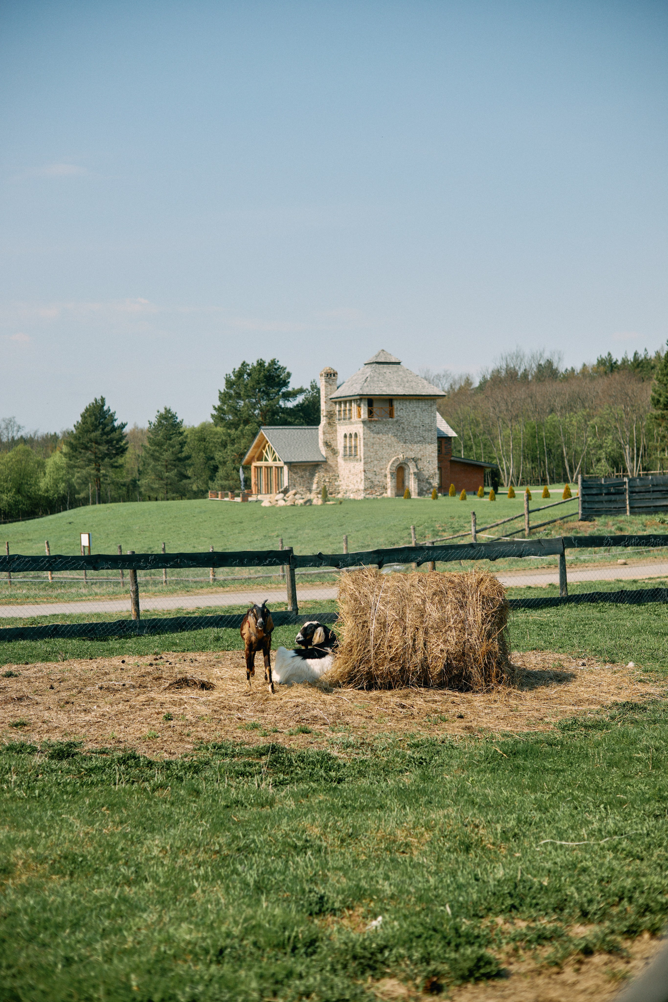 Бутик-отель Поле летом. Профессиональный Фотограф во Владимире, в Москве и в Суздале — Полина Романычева