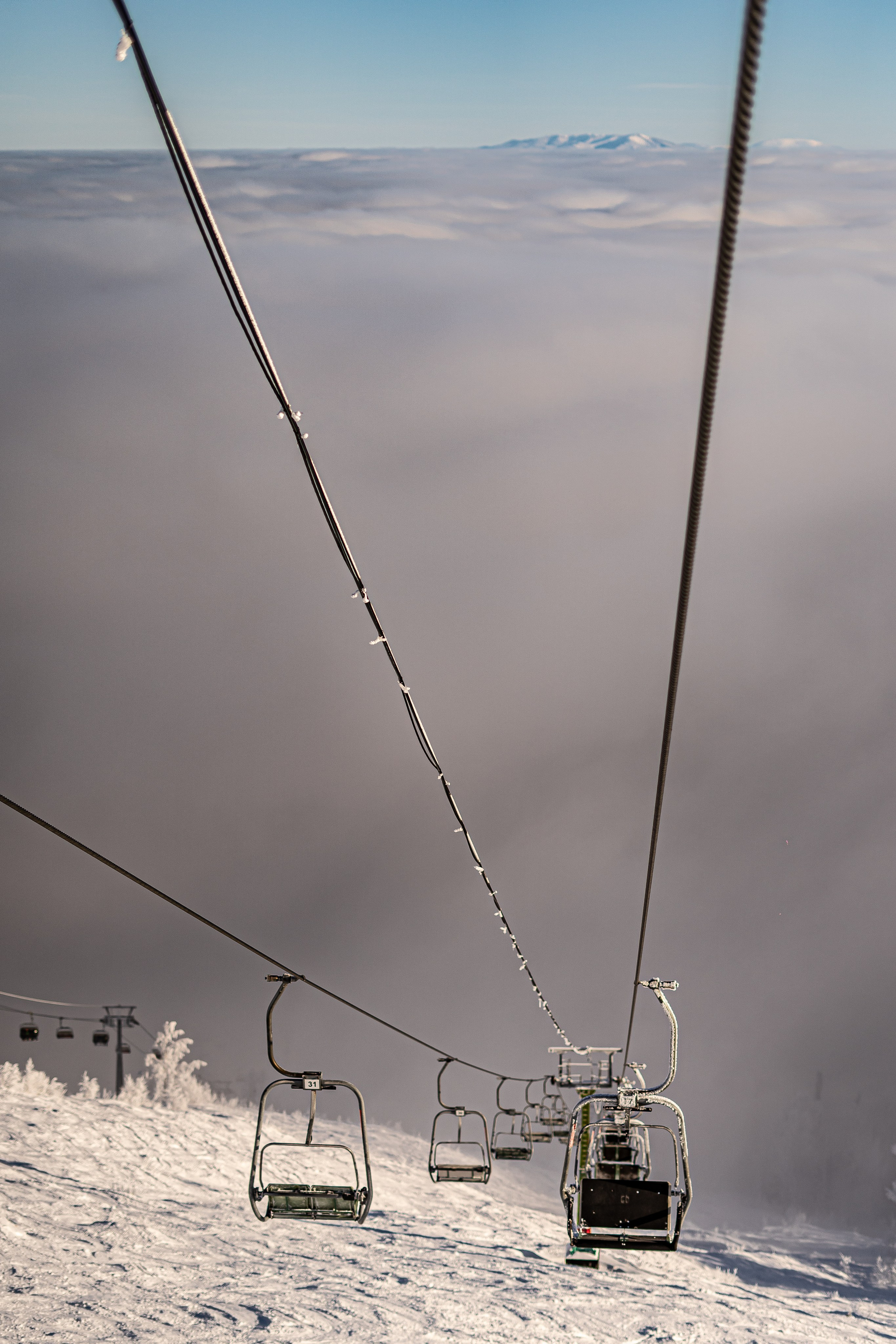 Джой 6.12. Анастасия Паршукова — фотограф Шерегеш Новосибирск