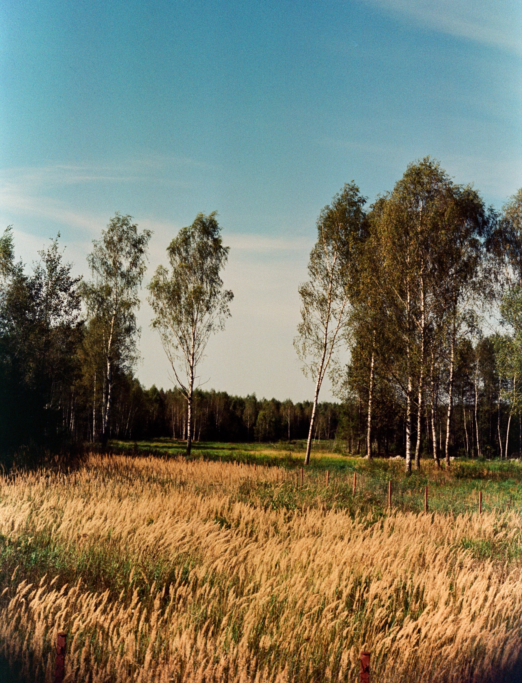 Nikon F100 примеры фотографий