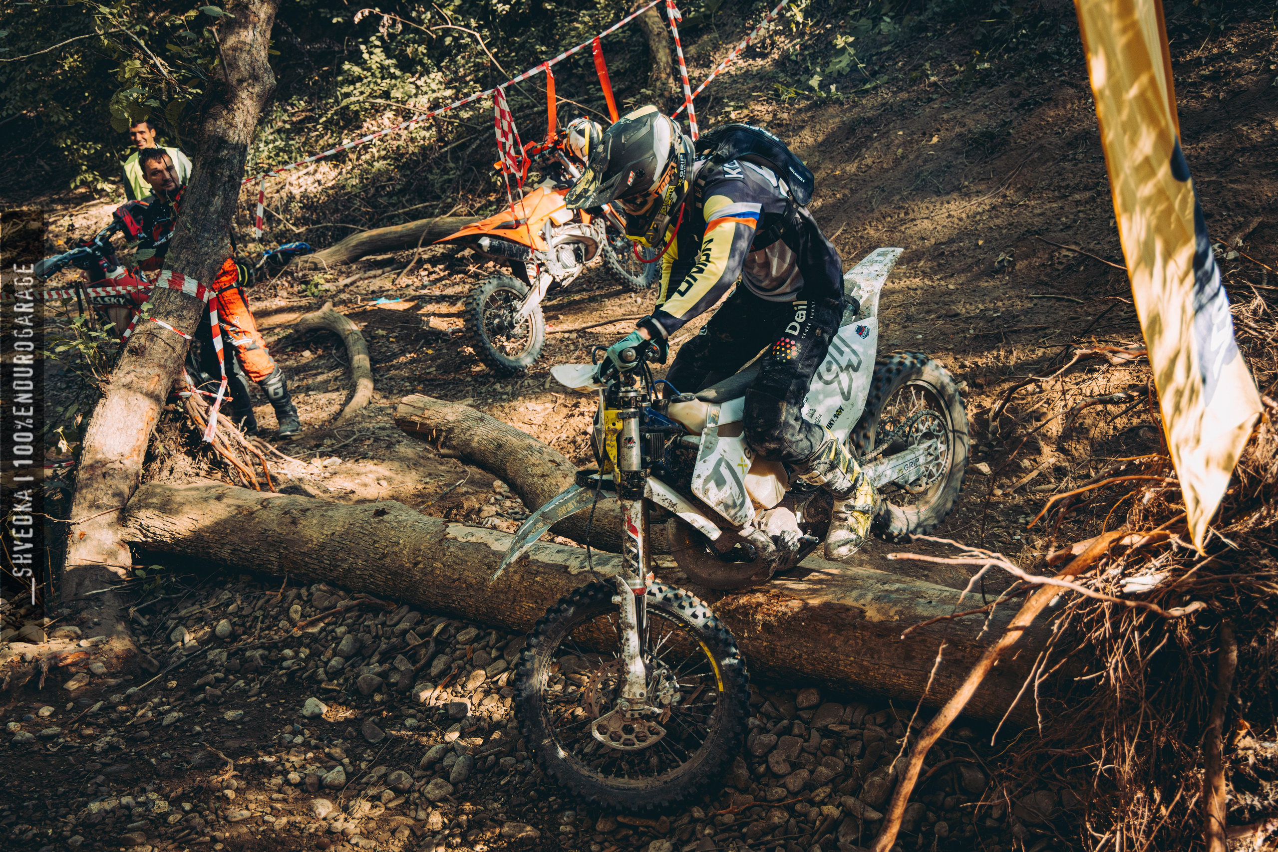 2 лесной день. Ваш экстрим фотограф Кудрева Яна