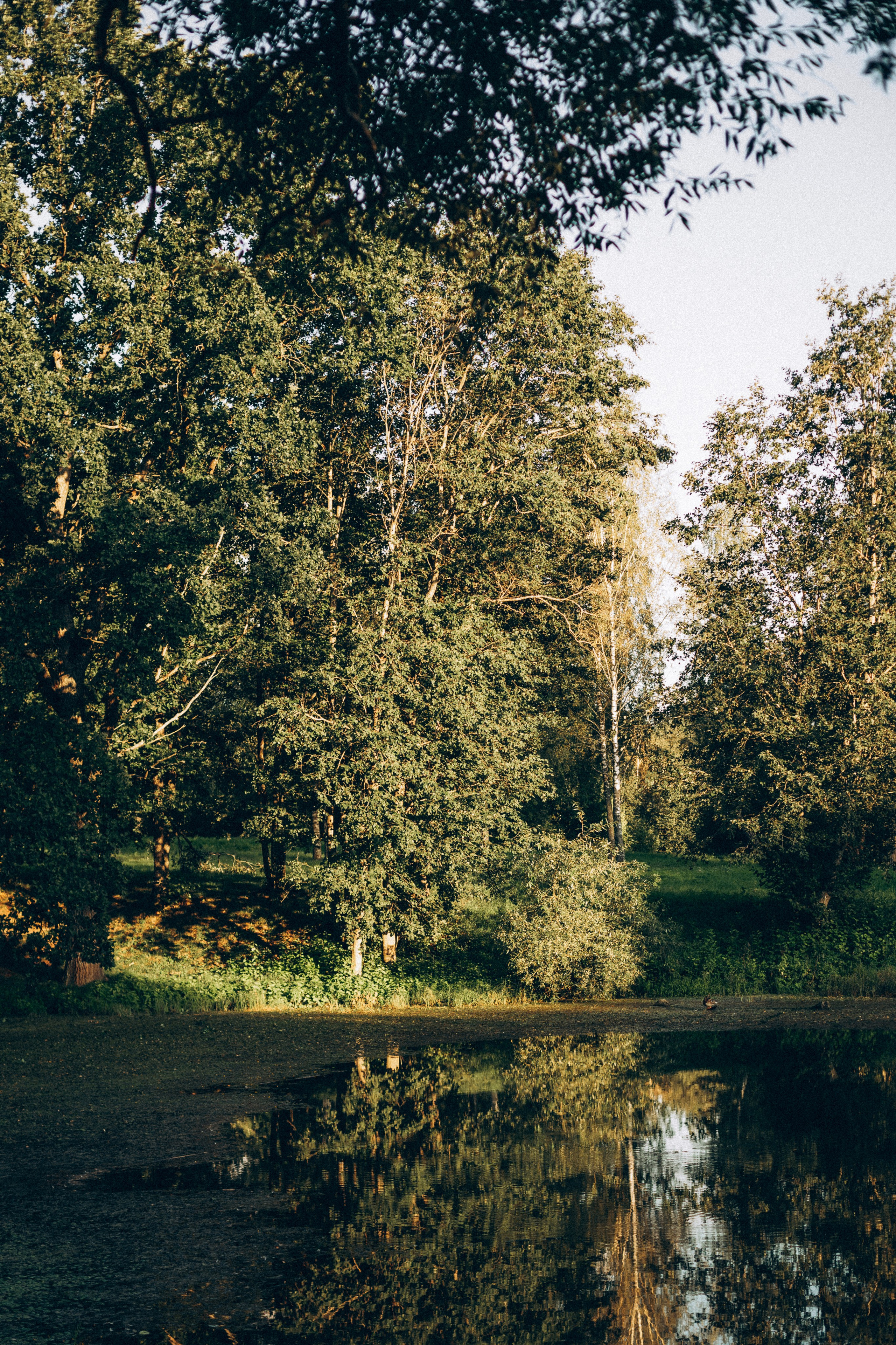 Леня Настя Матвей Пашка. Семейный фотограф в Минске и РБ Стеликова Анна