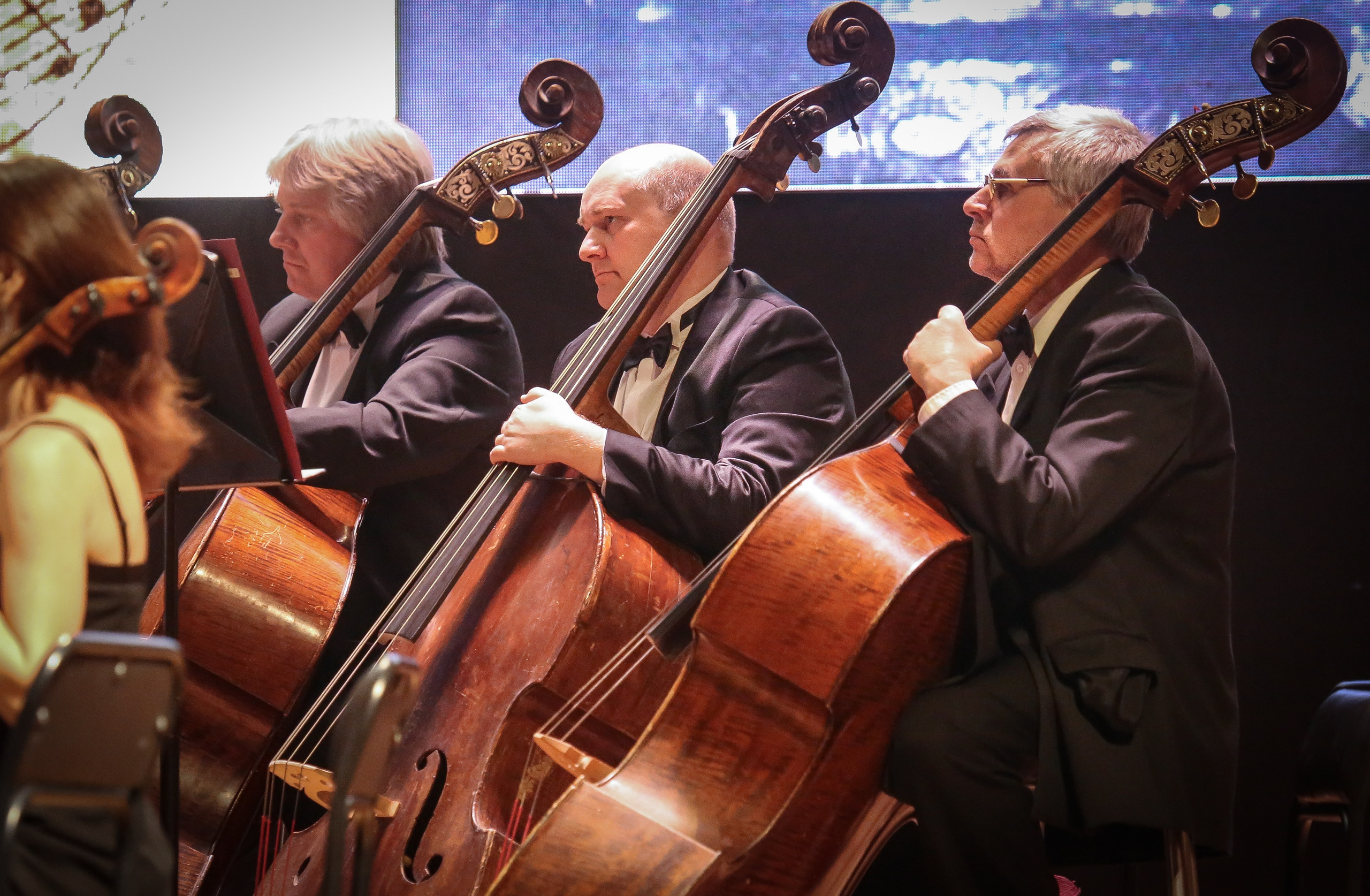 «Посвящение Елене Образцовой» в БЗК. Дарья Письменюк / Darya Leitstern — фотограф, музыкант, журналист, путешественник