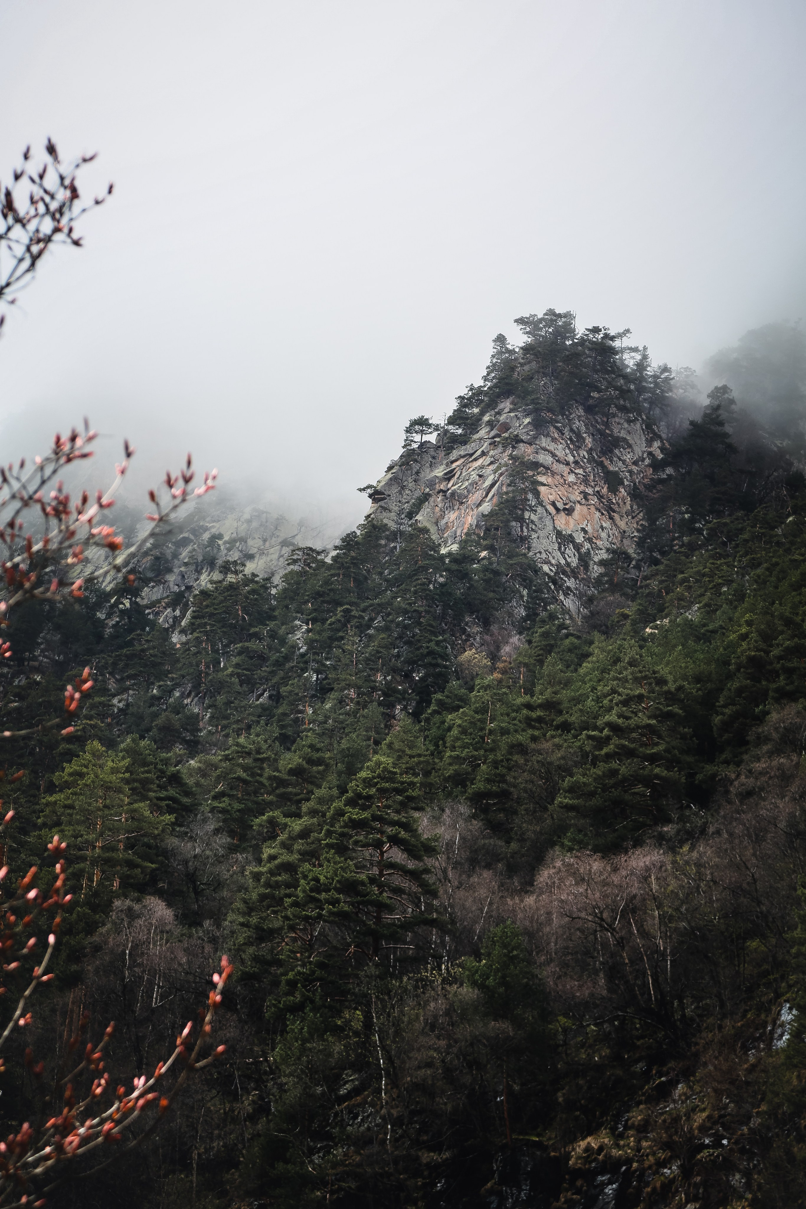 Кавказ: Северная Осетия. Дарья Письменюк / Darya Leitstern — фотограф, музыкант, журналист, путешественник