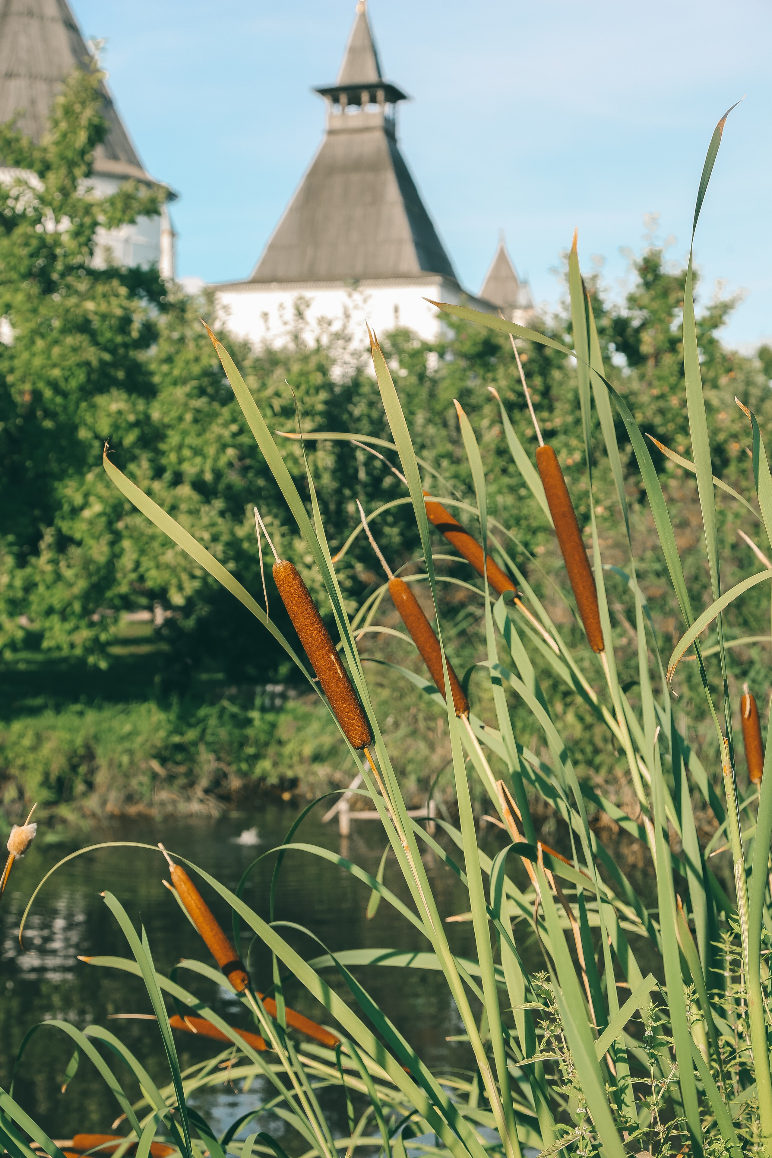 Ростов Великий. Дарья Письменюк / Darya Leitstern — фотограф, музыкант, журналист, путешественник