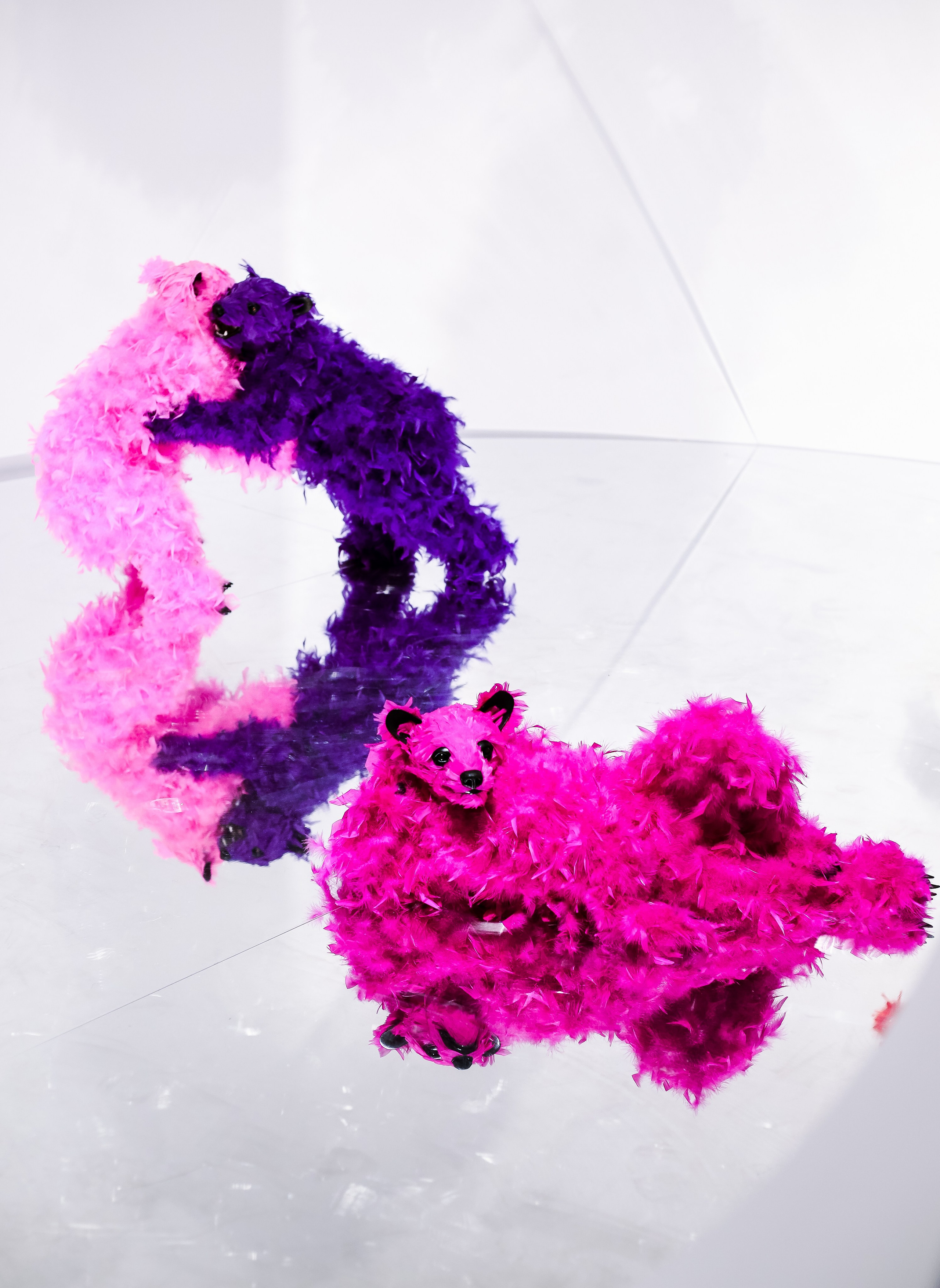 VIII Московская биеннале современного искусства. Дарья Письменюк / Darya Leitstern — фотограф, музыкант, журналист, путешественник