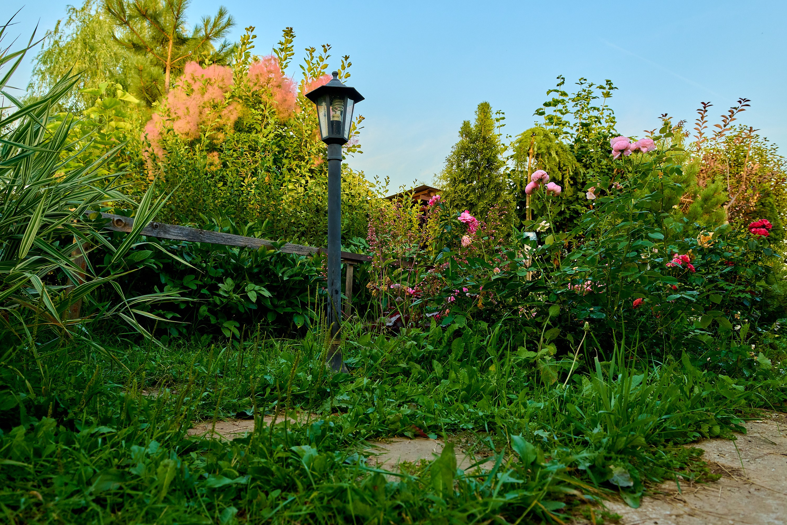 Фотосъёмка ландшафтных рабт