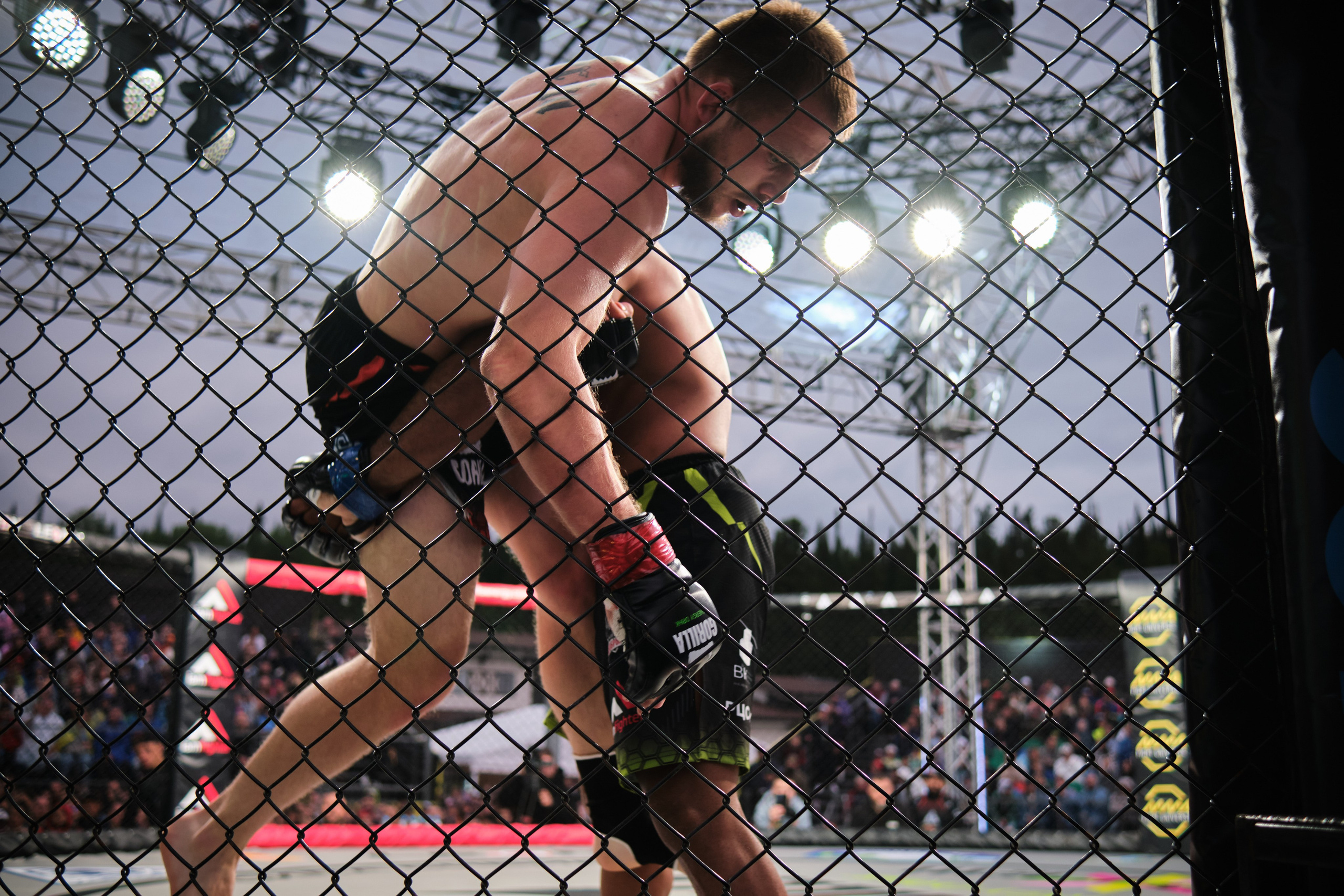 ММА на ПРО ГЕШ. Свадебный и семейный фотограф в Новокузнецке Иван Иванов