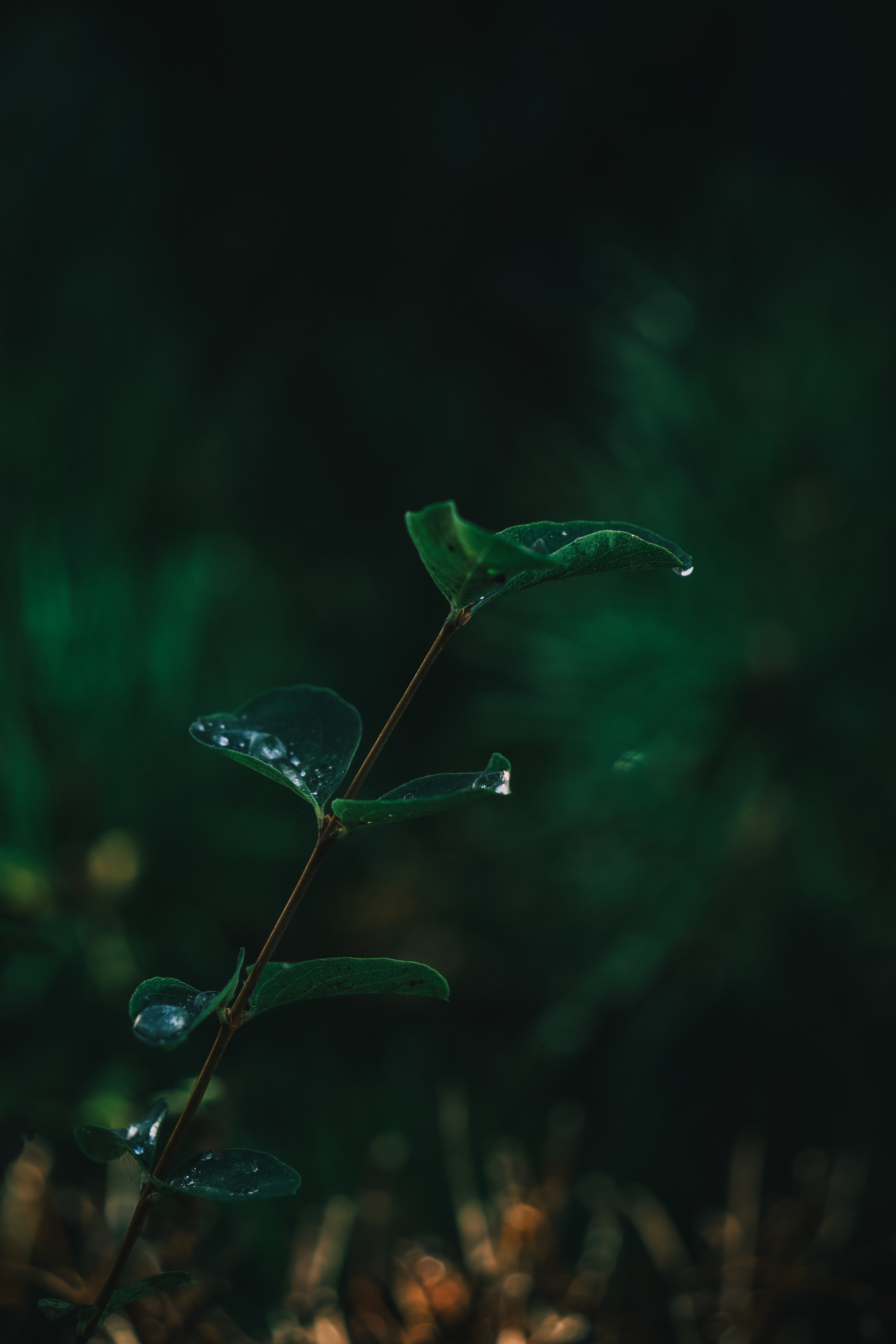 Т Е П Л Ы Й — З Е Л Е Н Ы Й. — Digital Noise —