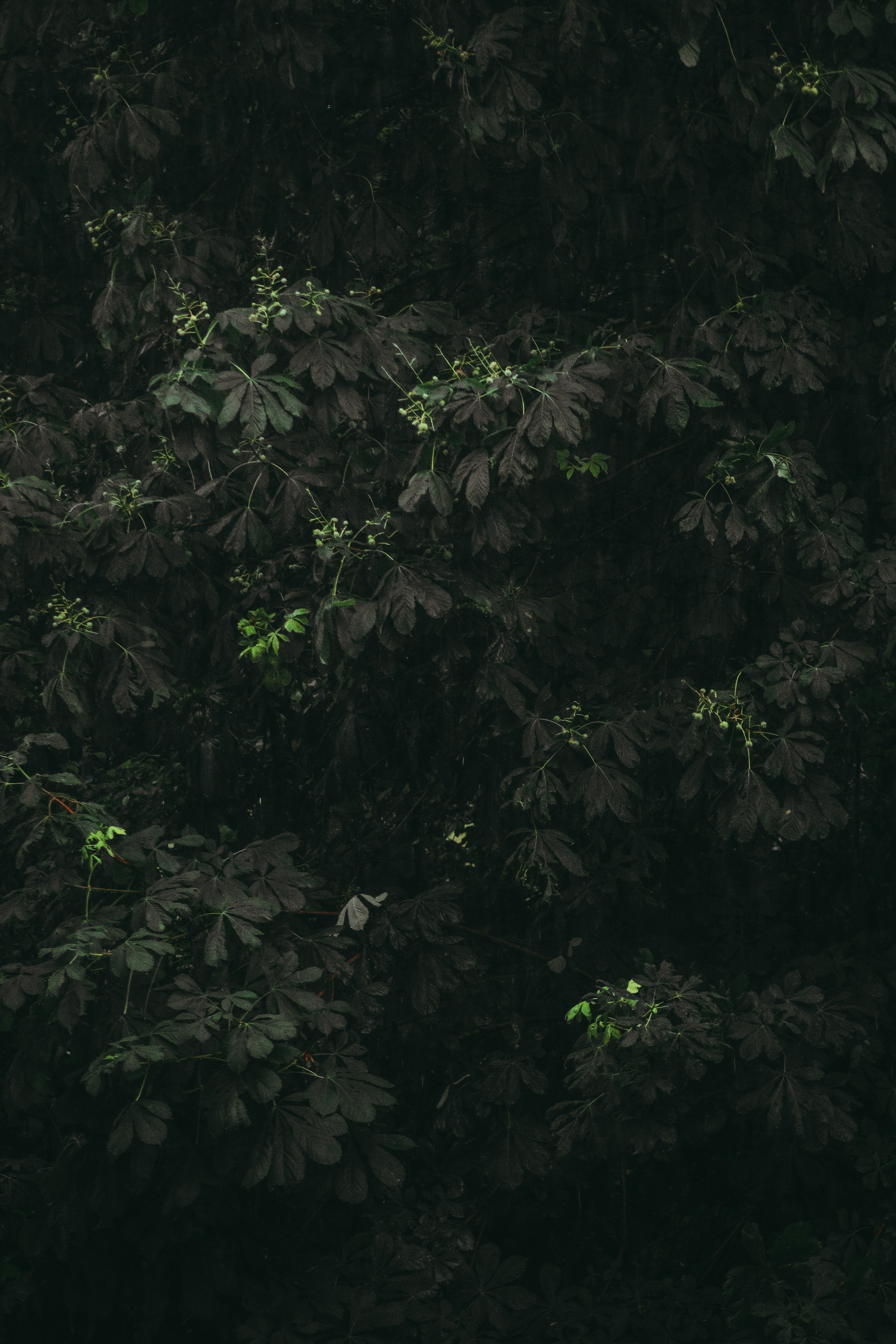 Т Е П Л Ы Й — З Е Л Е Н Ы Й. — Digital Noise —