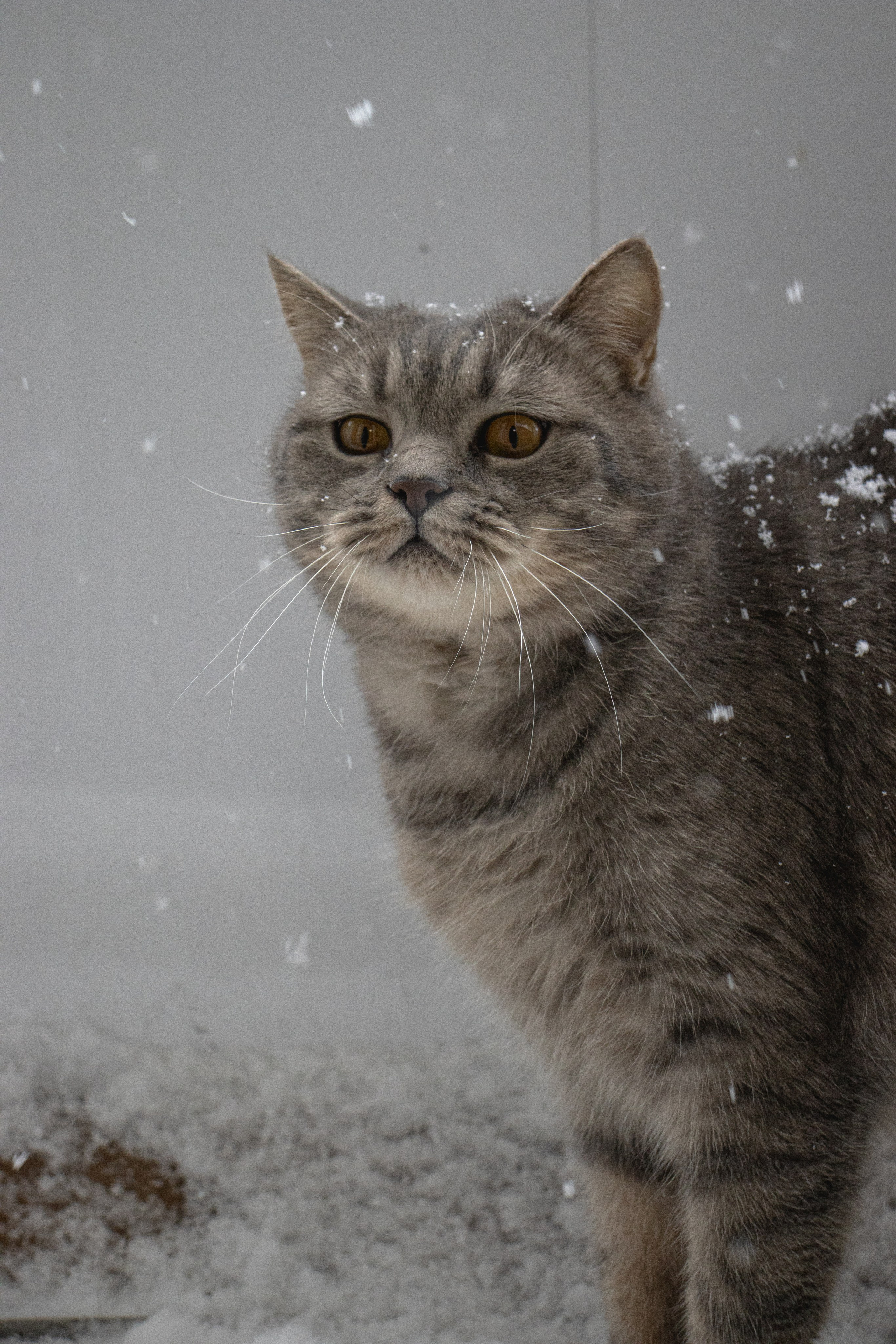 М А Р Т И Н. — Digital Noise —